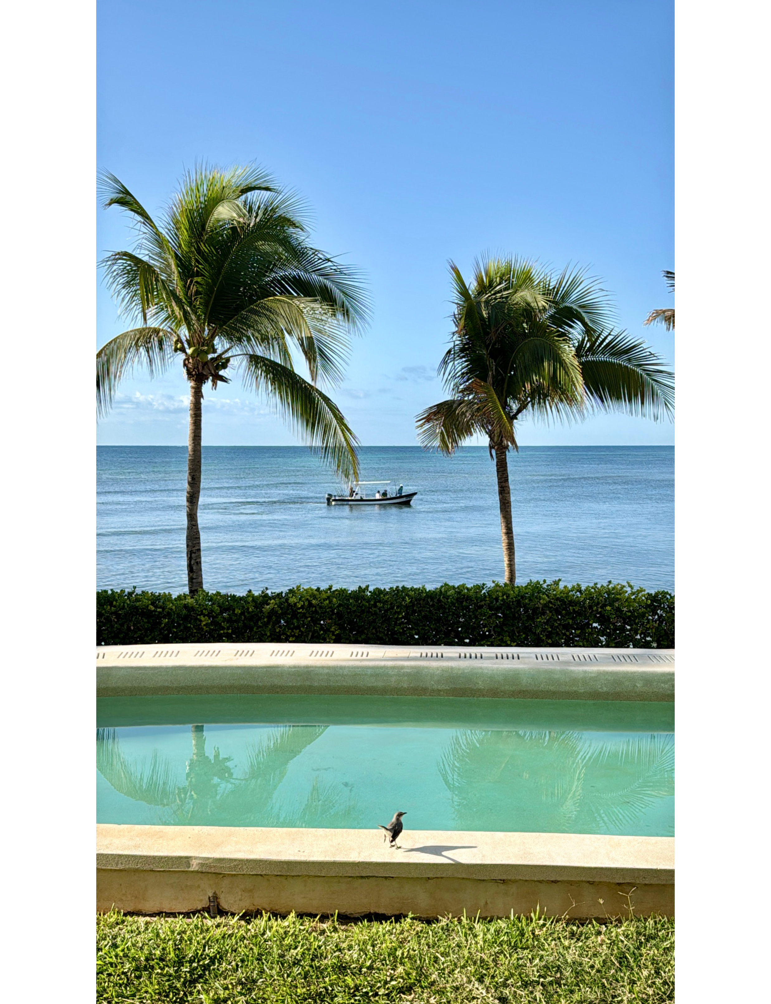 oceanside pool with palms and boat on the sea by Riviera Maya in Mexico