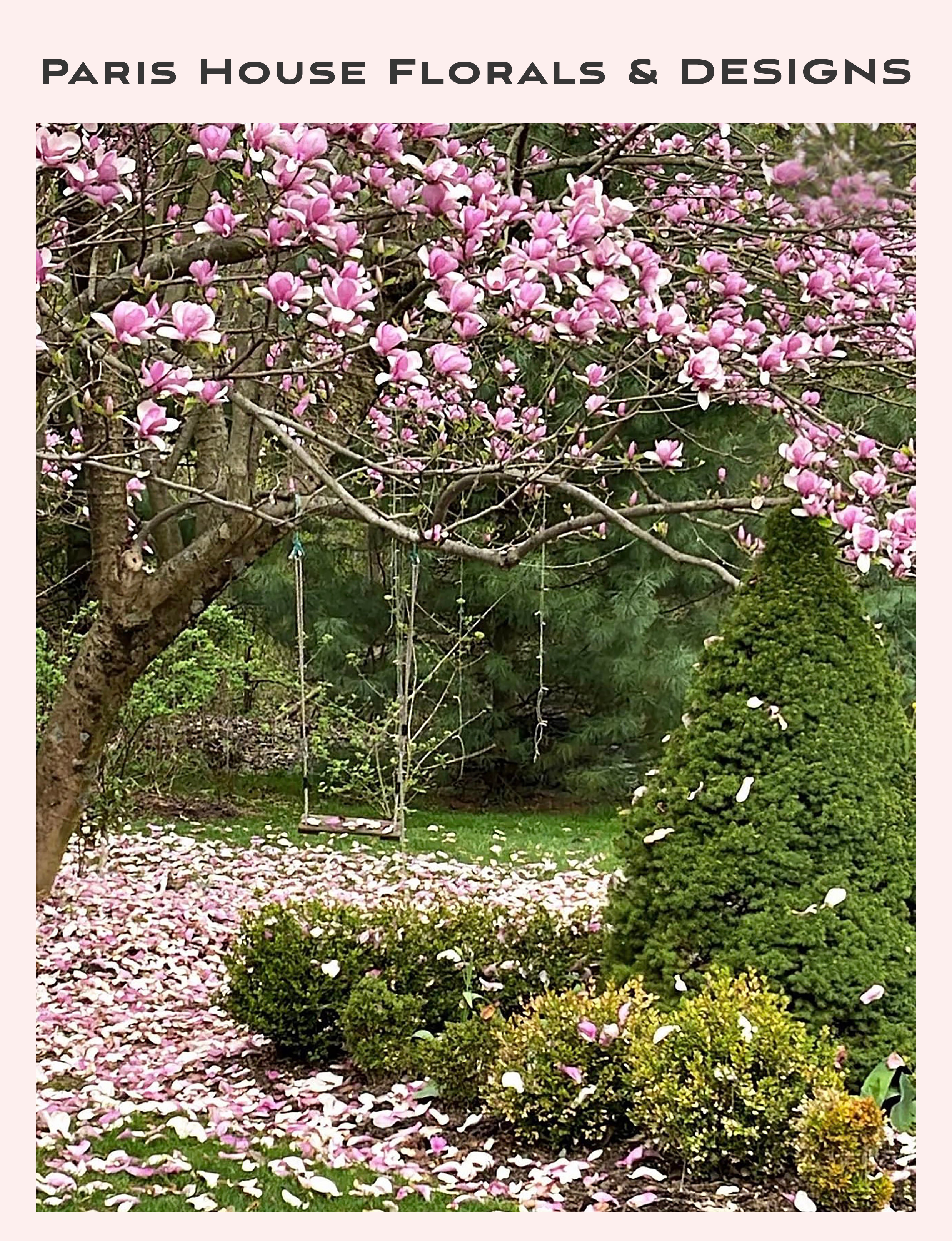 flowering tree with swing in spring