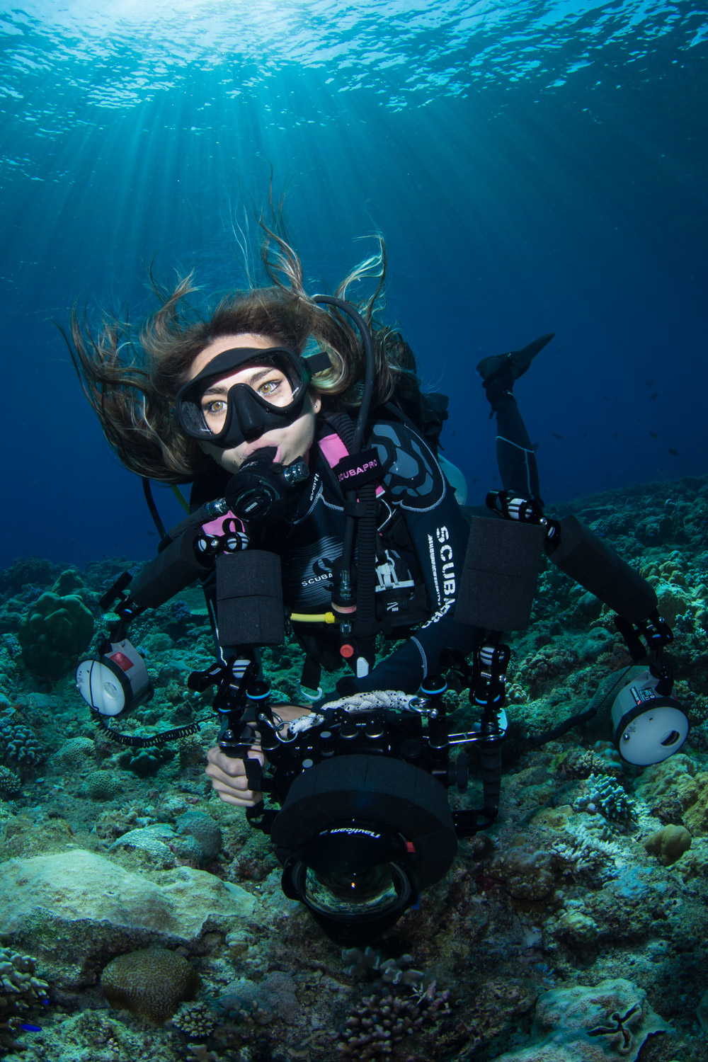 Jade in Tubbataha