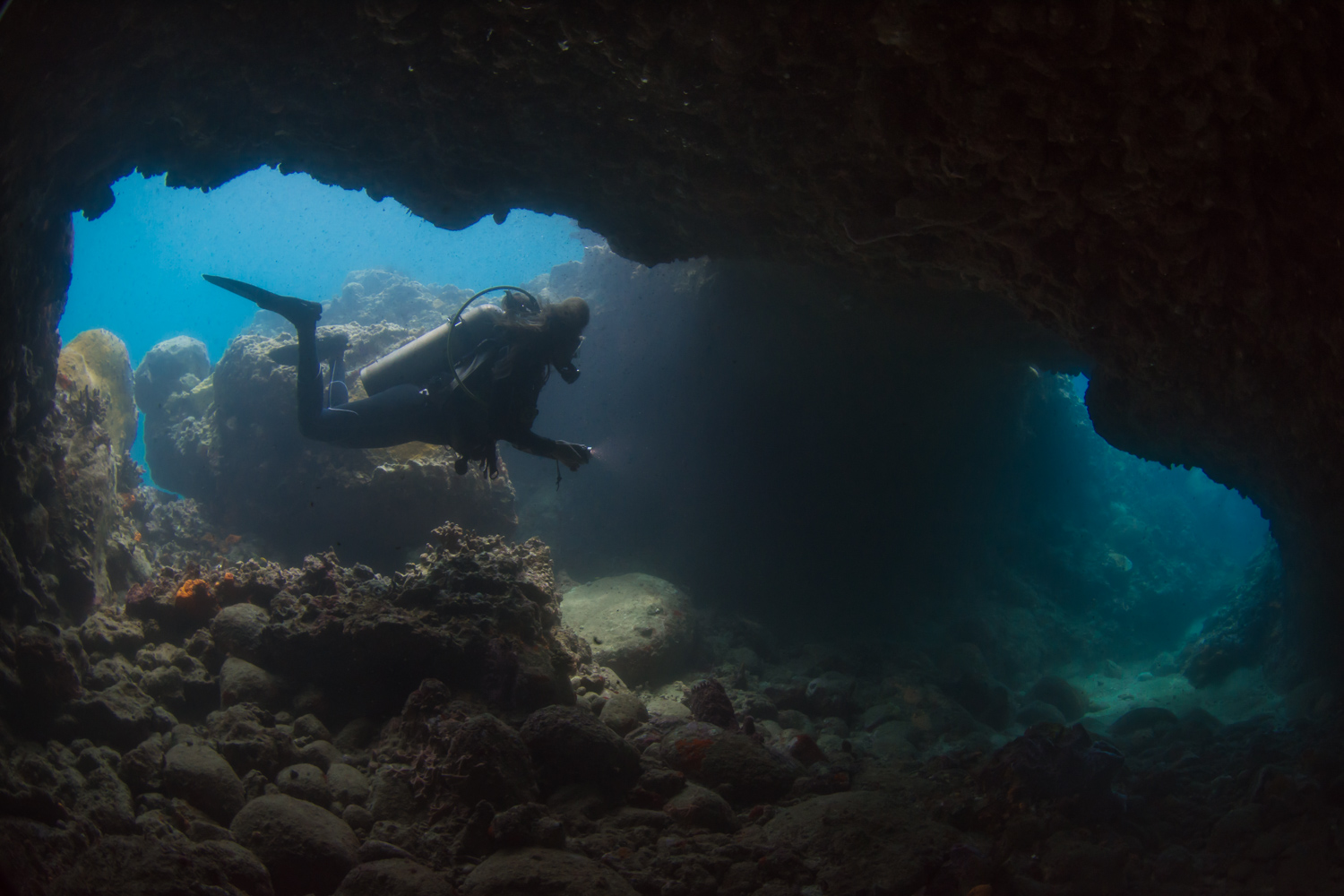 Into the Trench