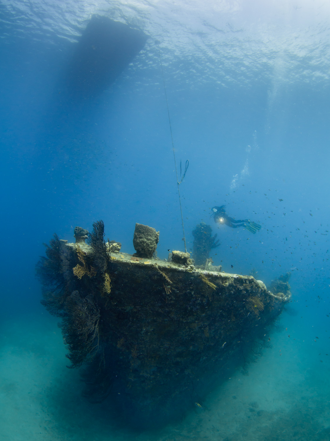 Wreck Diver
