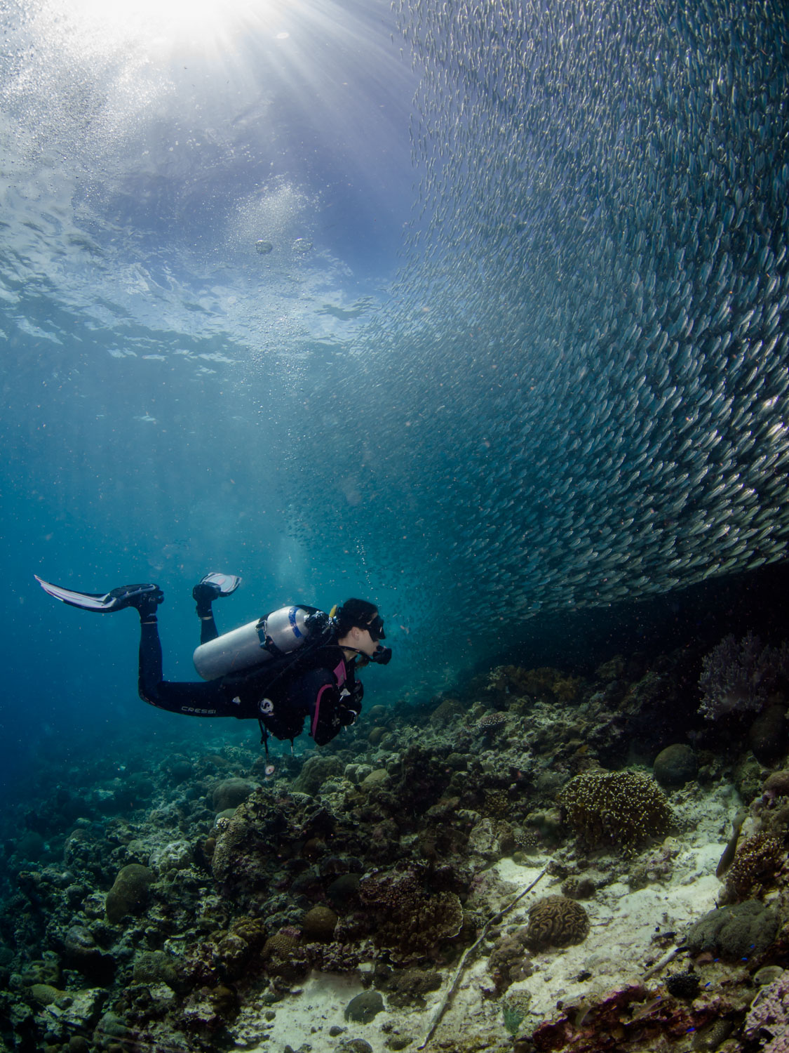 Jade & the Sardines