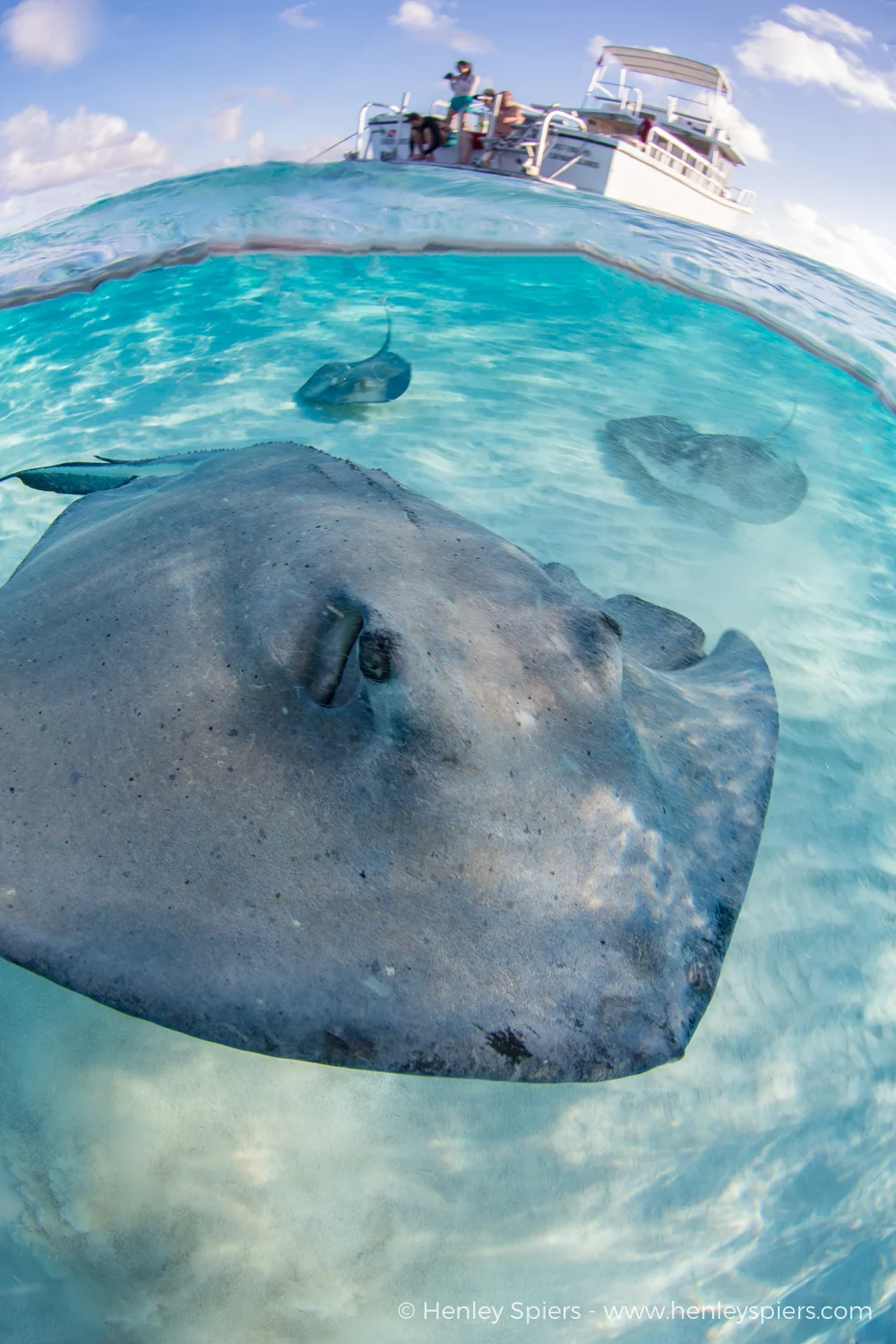 Bumped by a Stingray