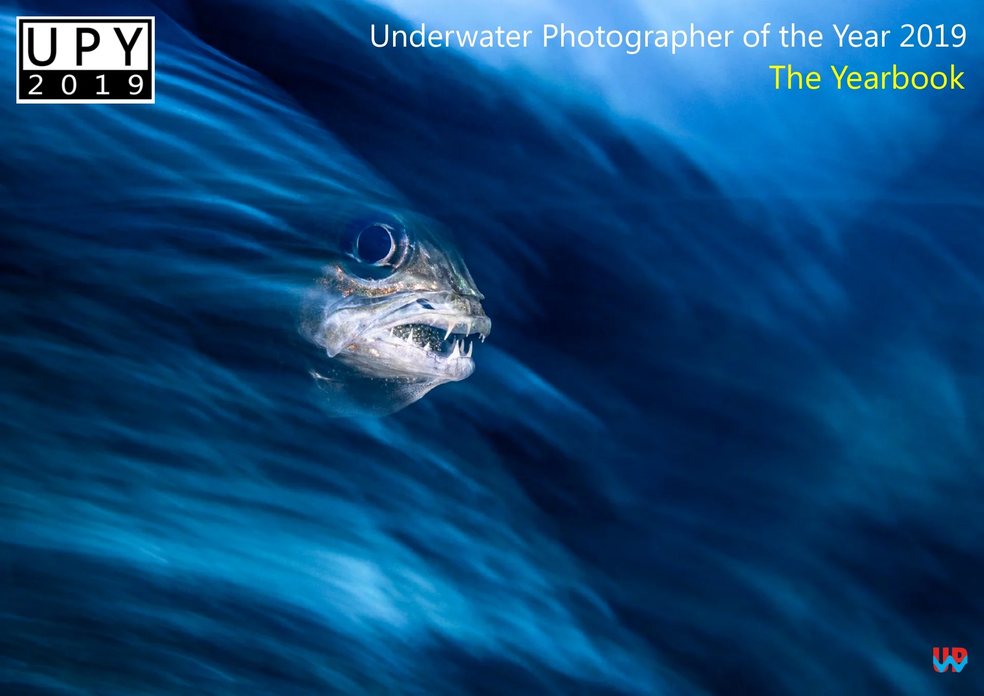 Front Cover Underwater Photographer of the Year - Yearbook 2019