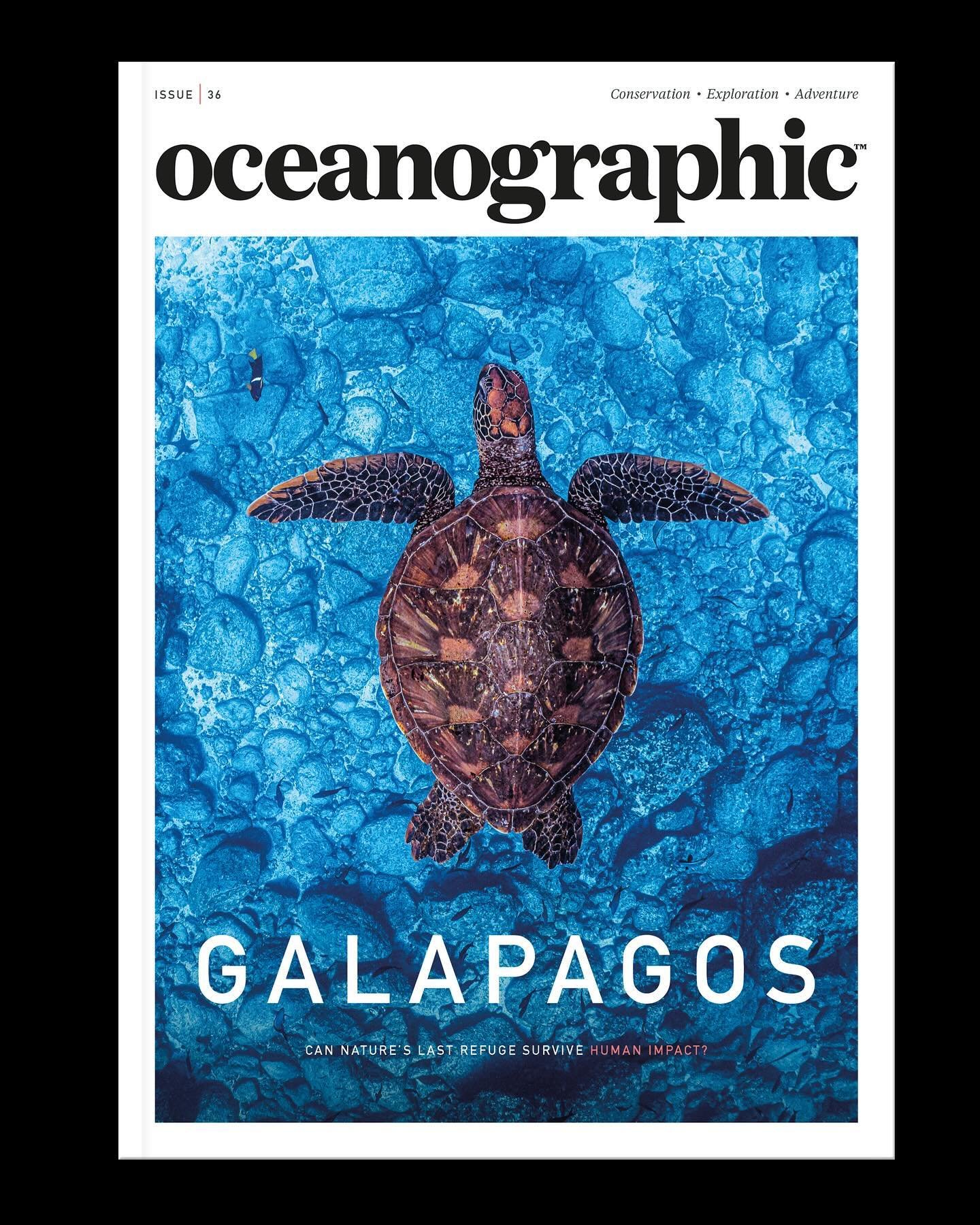 In a career which offers the rare privilege of reporting from many of the ocean&rsquo;s most rich and spectacular regions, the Galapagos has marked me as one of the most extraordinary, and I can barely restrain my enthusiasm for the marine life which
