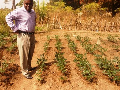 agronomy-research_400x300.png