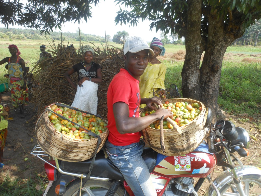 6A_inefficient-transport-of-produce-1024x768.jpg