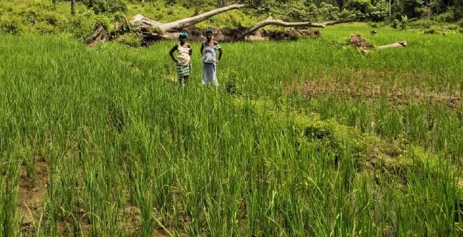 Climate change impact on poor farmers in Africa