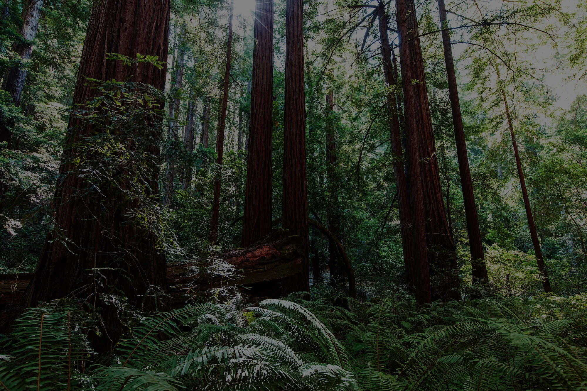 AdobeStock_67183531.jpg