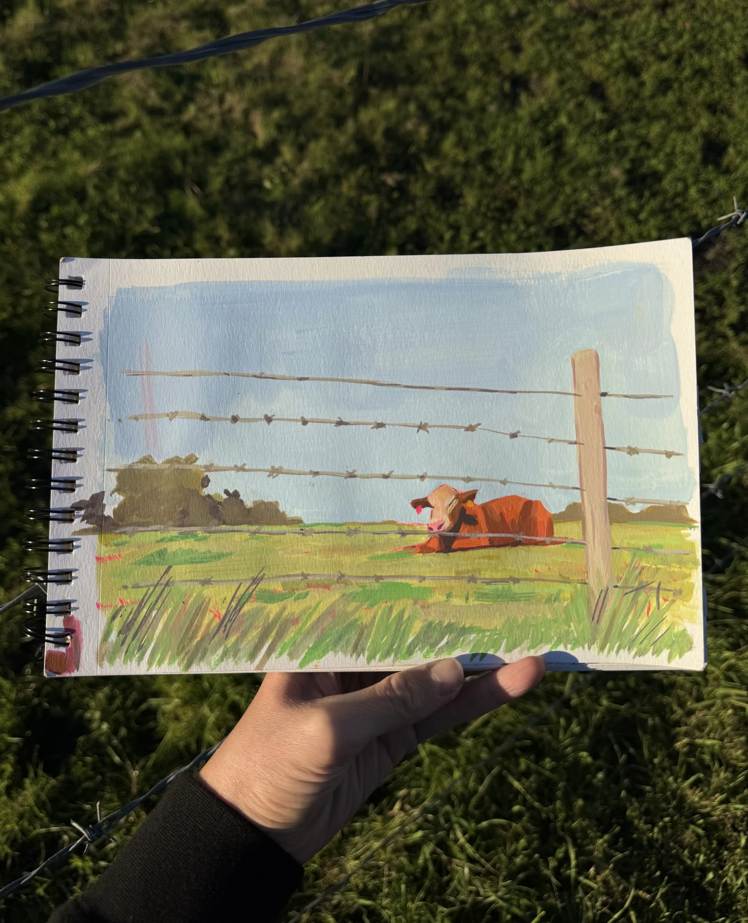 IMG_3418.jpeg