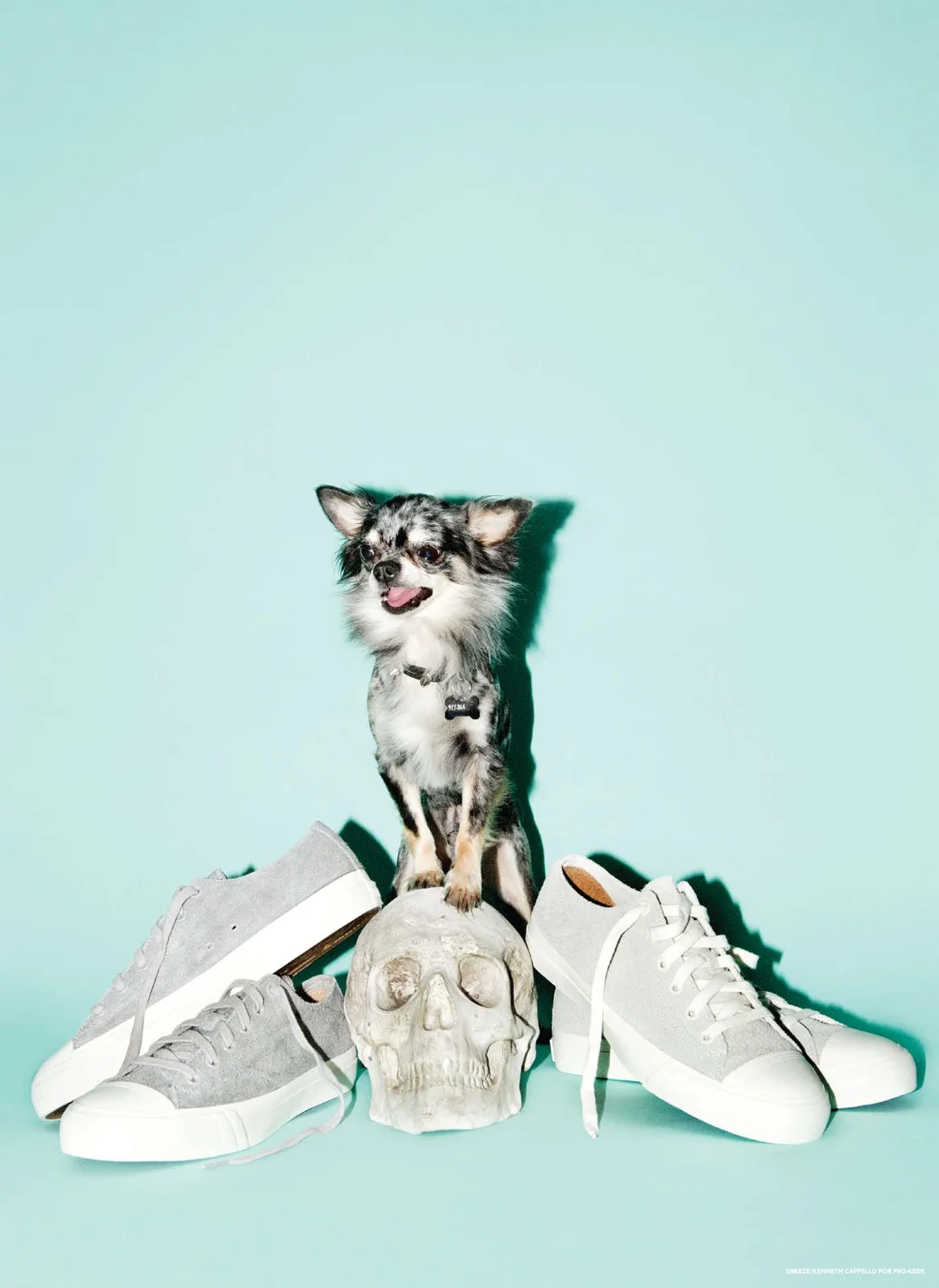 550a902458487a46-prokeds.jpg