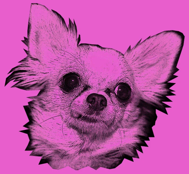 CICCLOLINA_1.jpg