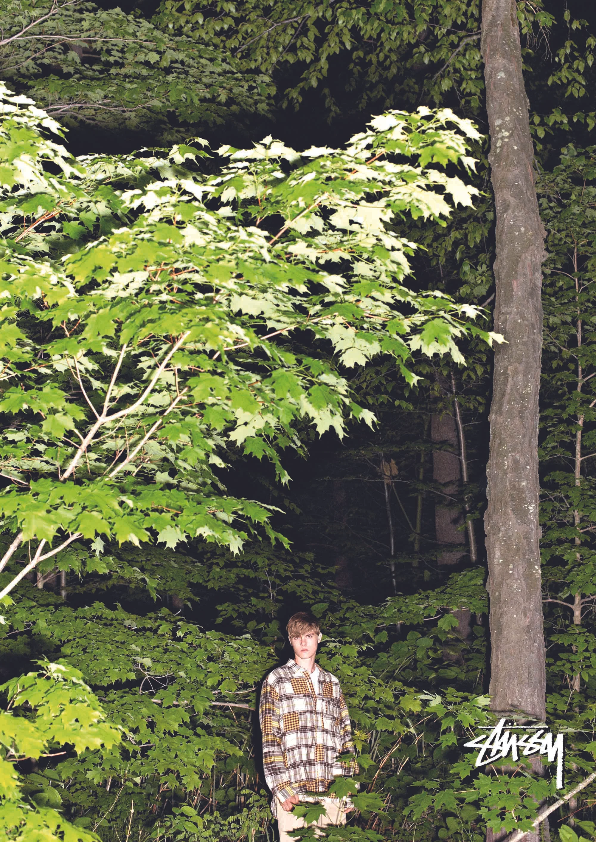 stussy add in.jpg