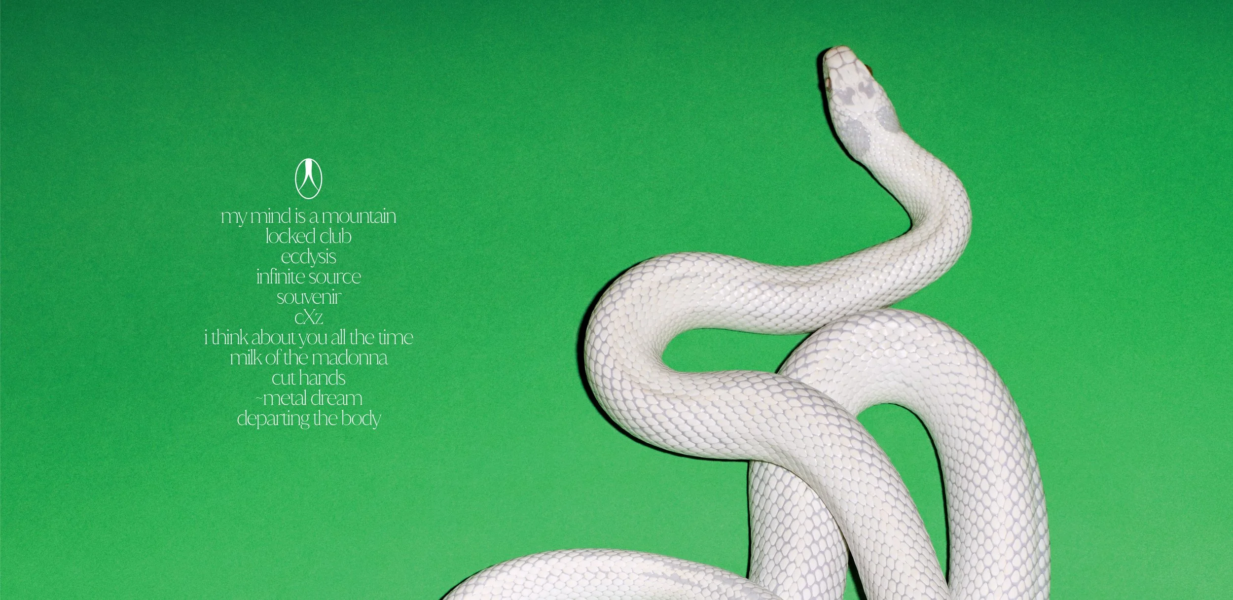 DEFTONES_CAPPELLO_standard_gatefold.jpg