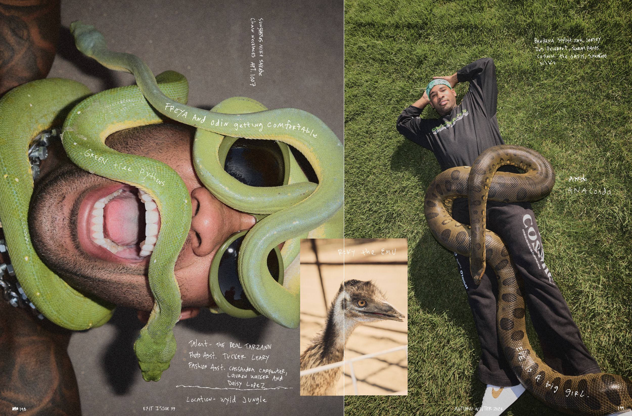 Screenshot 2025-07-31 at 5.18.02 PM.png