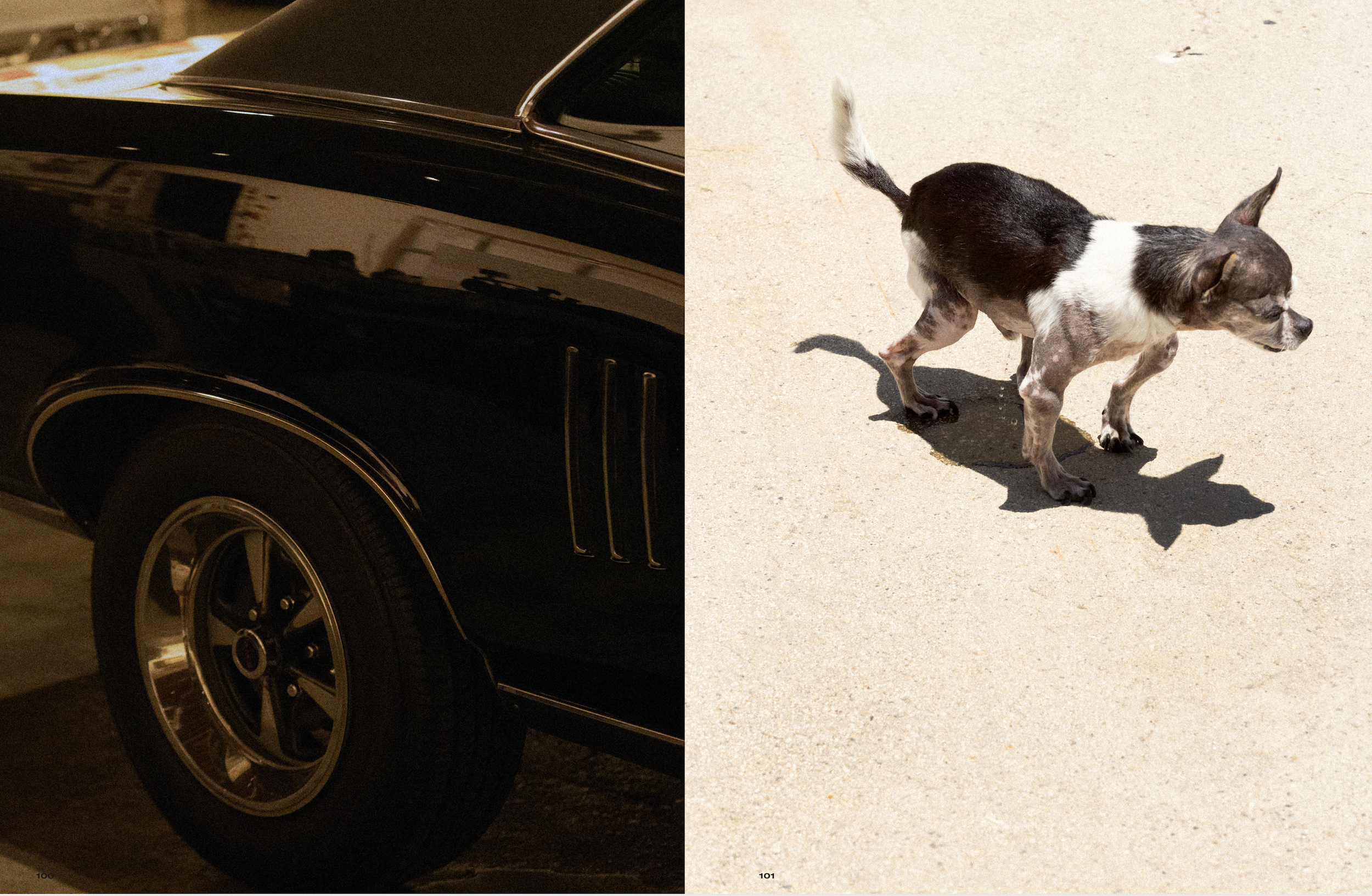 Screenshot 2026-03-17 at 8.00.10 PM.png