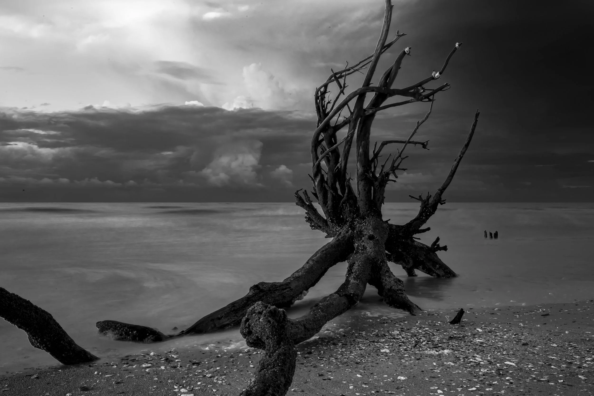 Folly Beach, SC