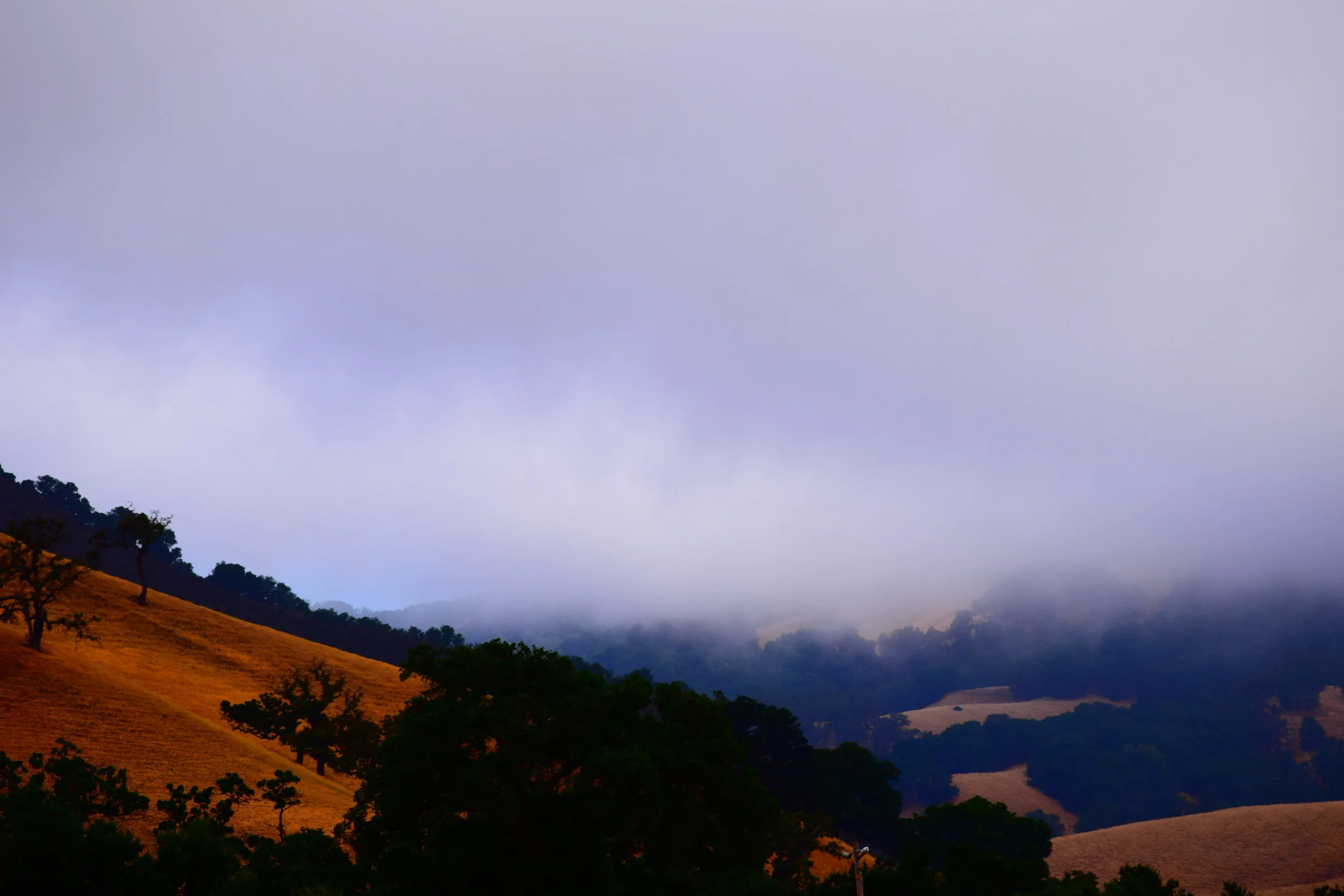 DSC_0514.JPG