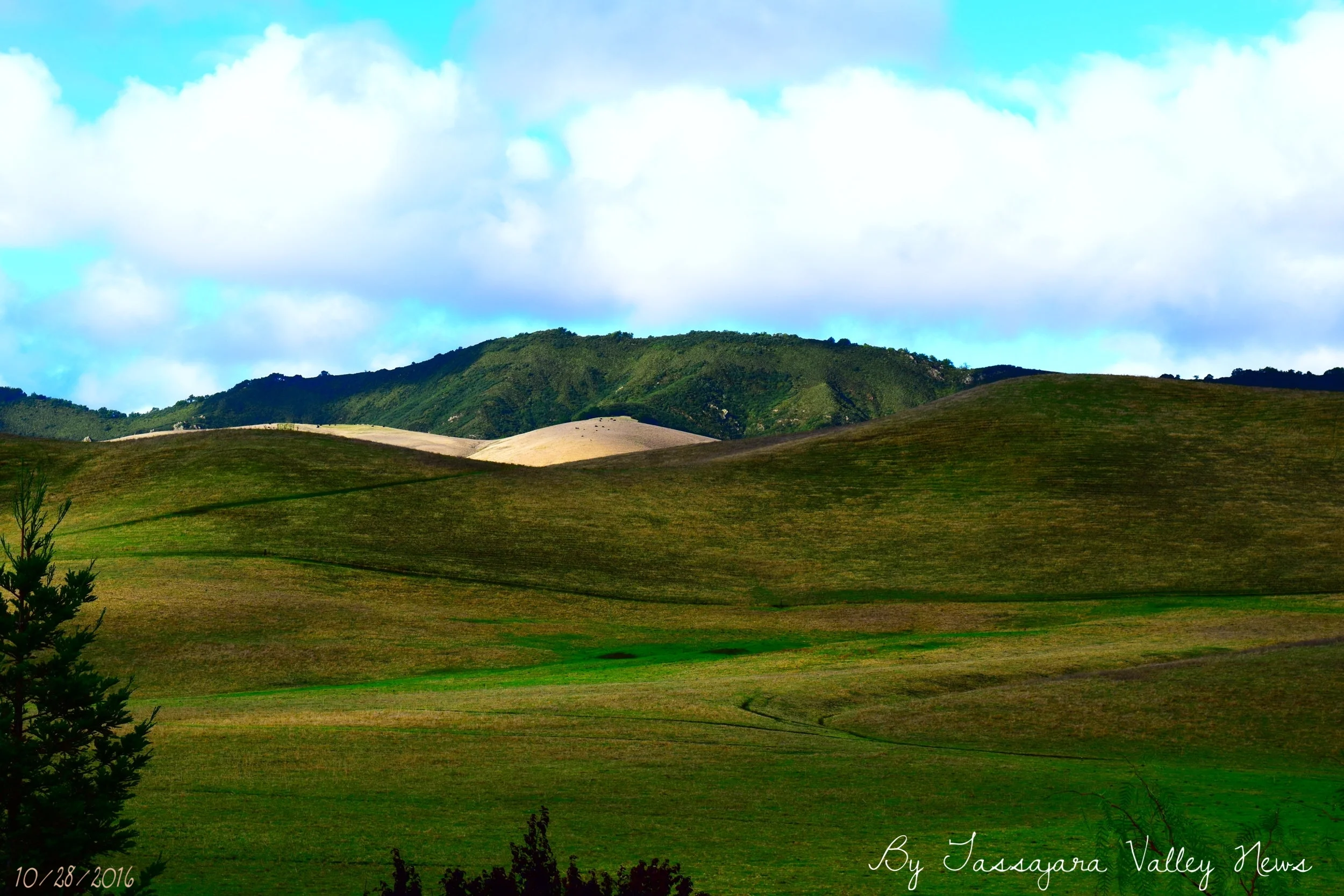 Proposed Tassajara Parks Housing Development Site 
