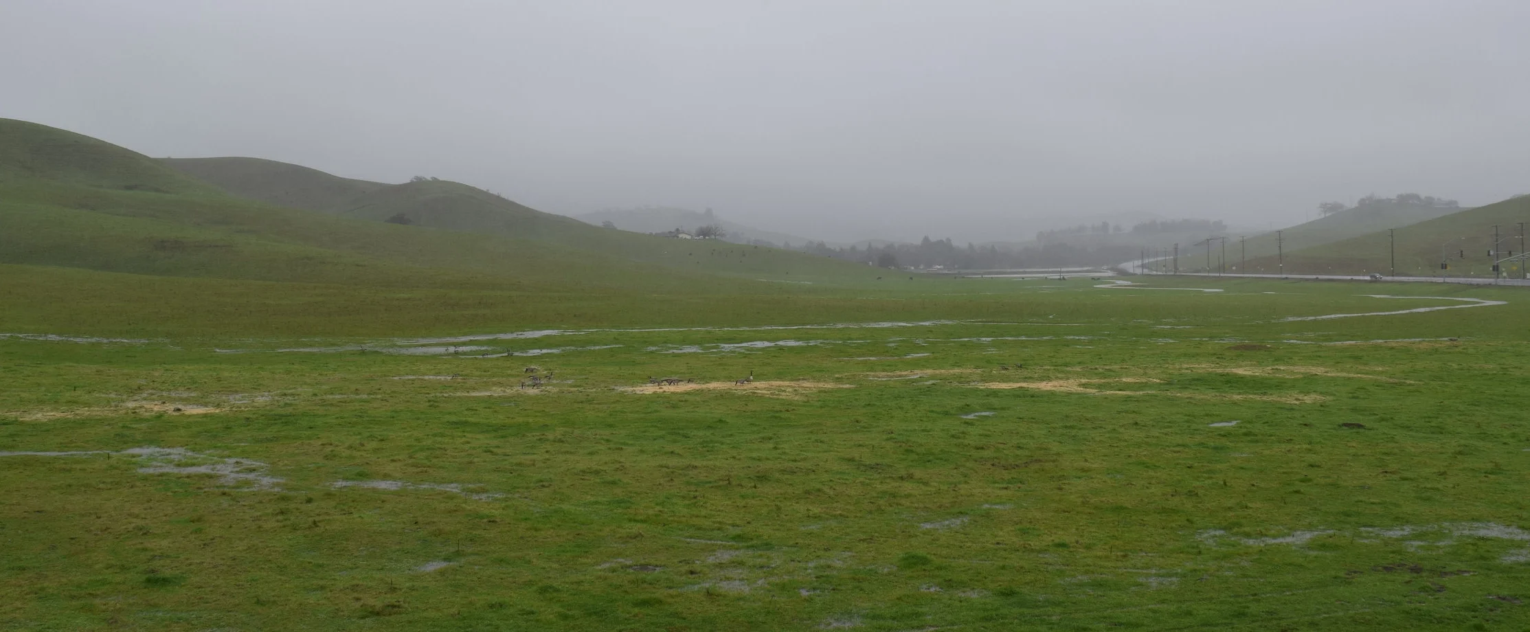 TP Site taken from the east.JPG
