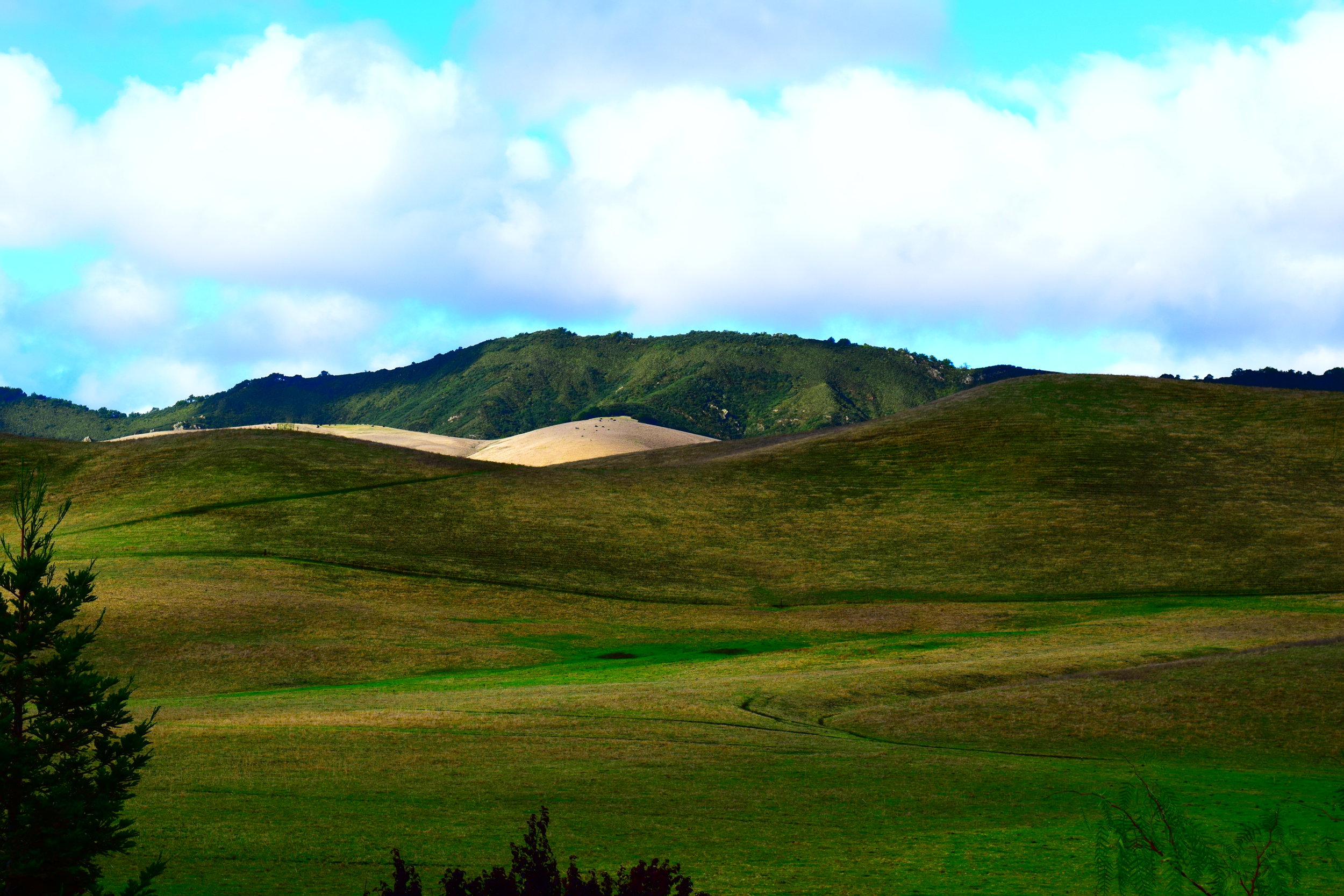 Tassajara Parks Proposed Site.Fall.taken from the South.JPG