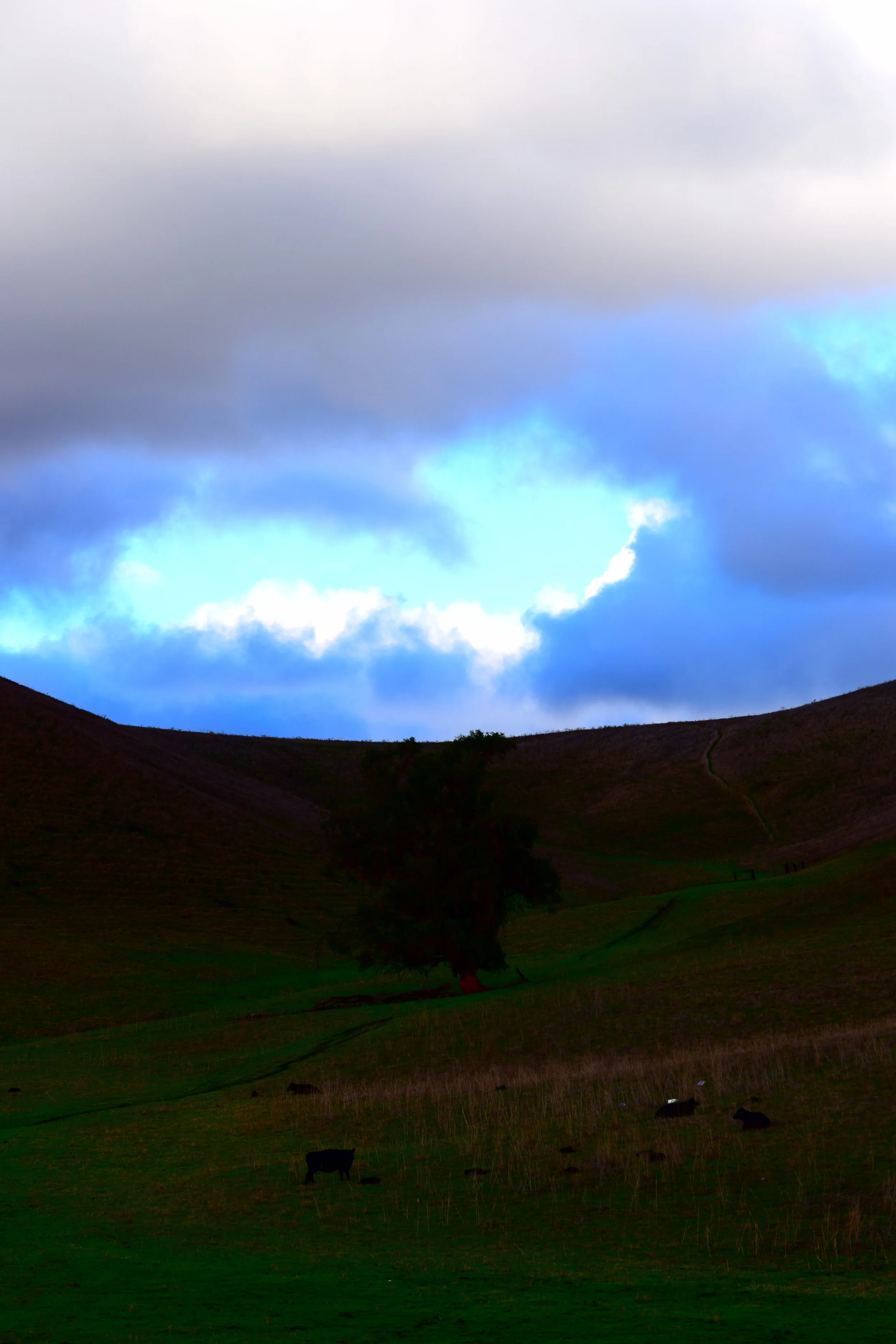 9/30/20 - Contra Costa County Planning Commission Public Hearing Agenda