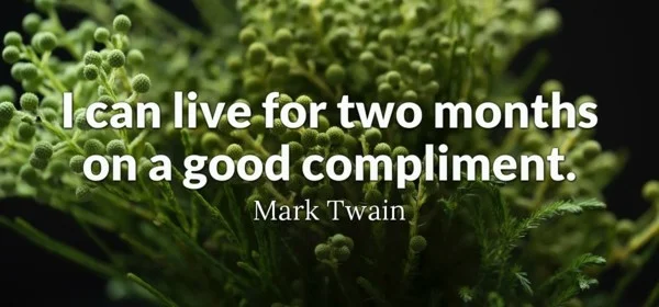 Be Complimentary!