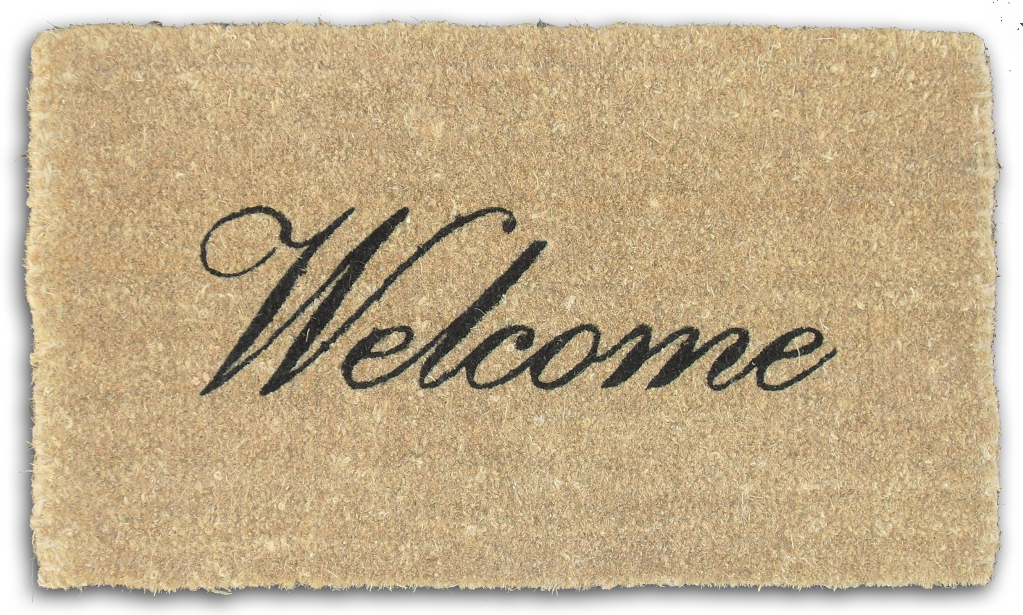 New Staff!