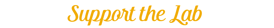 Support the Lab Title-01.png