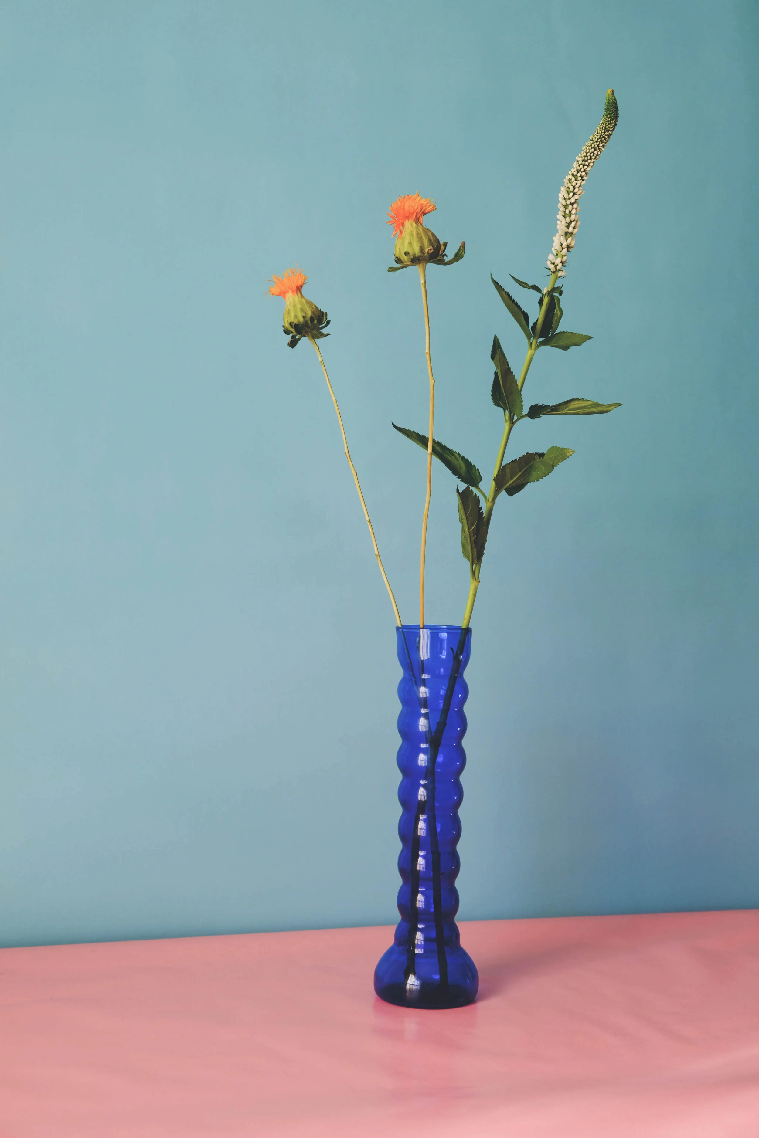 1*DSCF5465.jpg