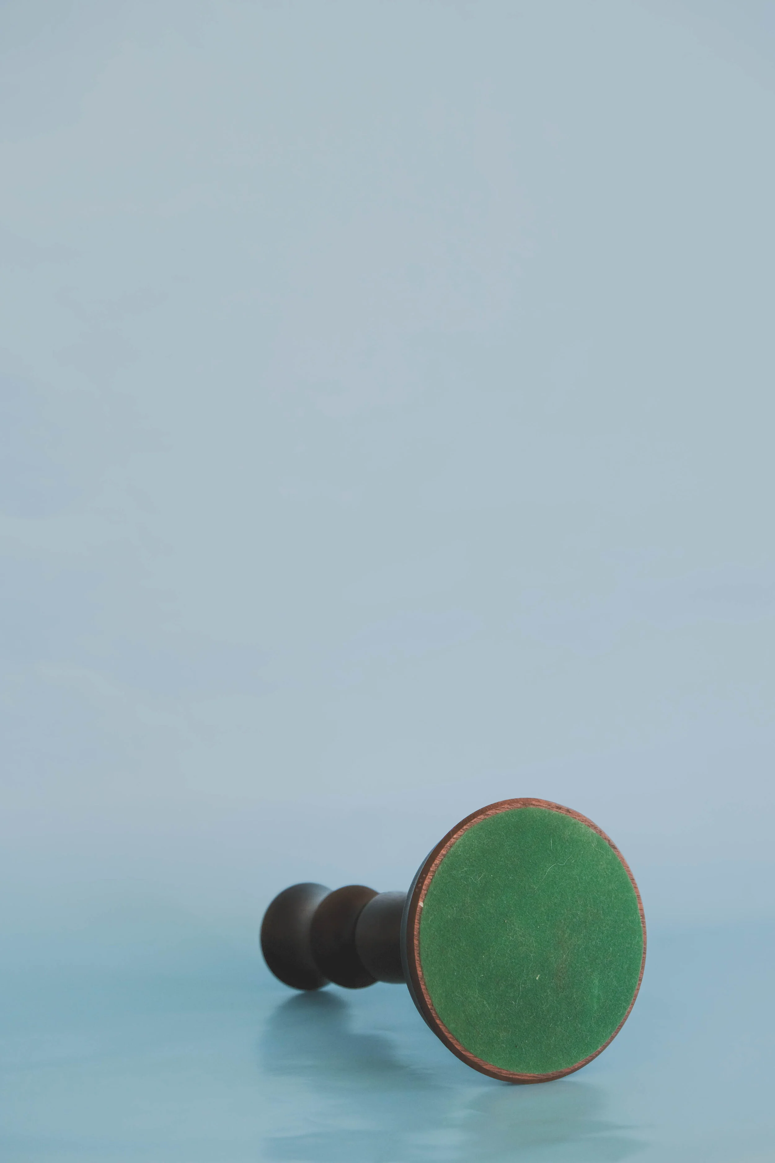 DSCF6556.jpg