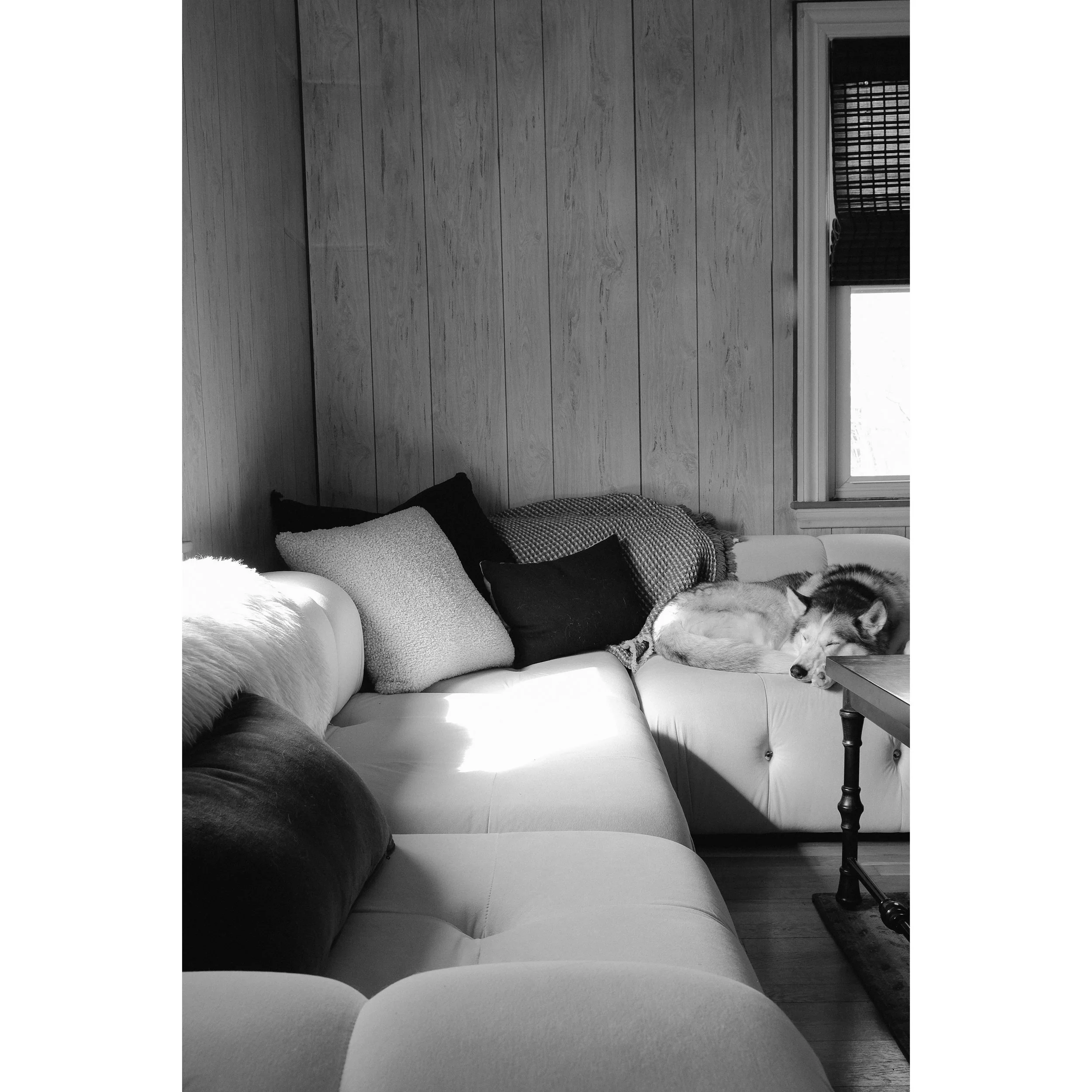 Whitagram-Image 7.JPG