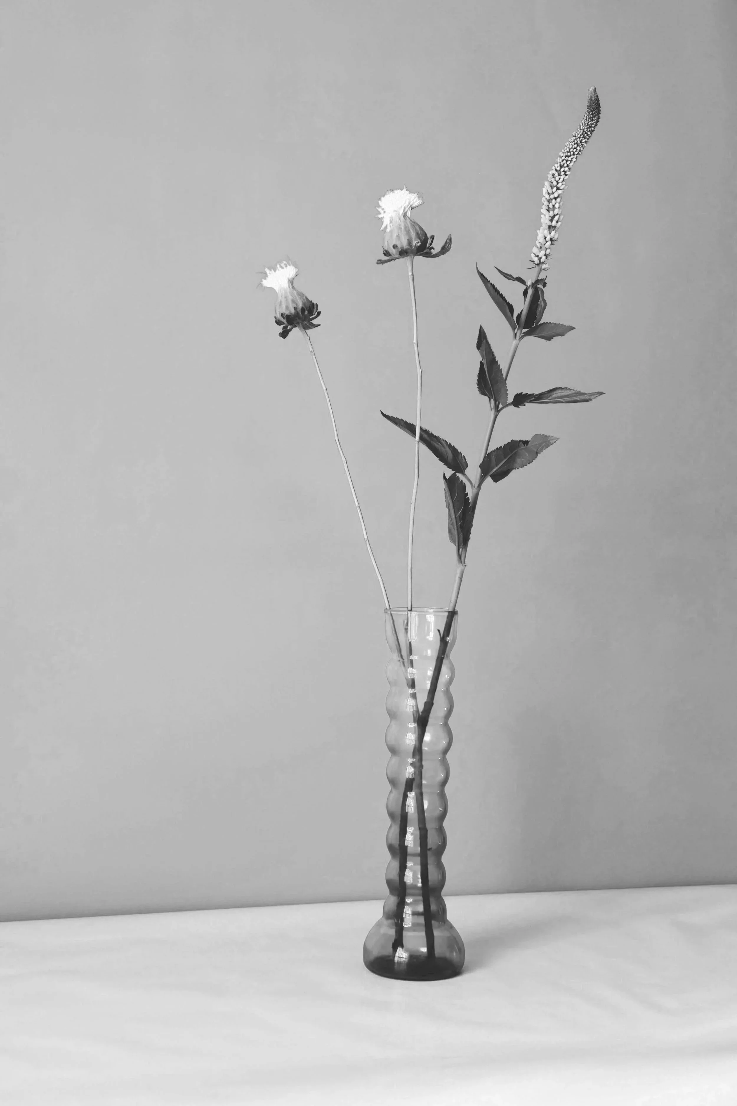 Slim Wave Vase