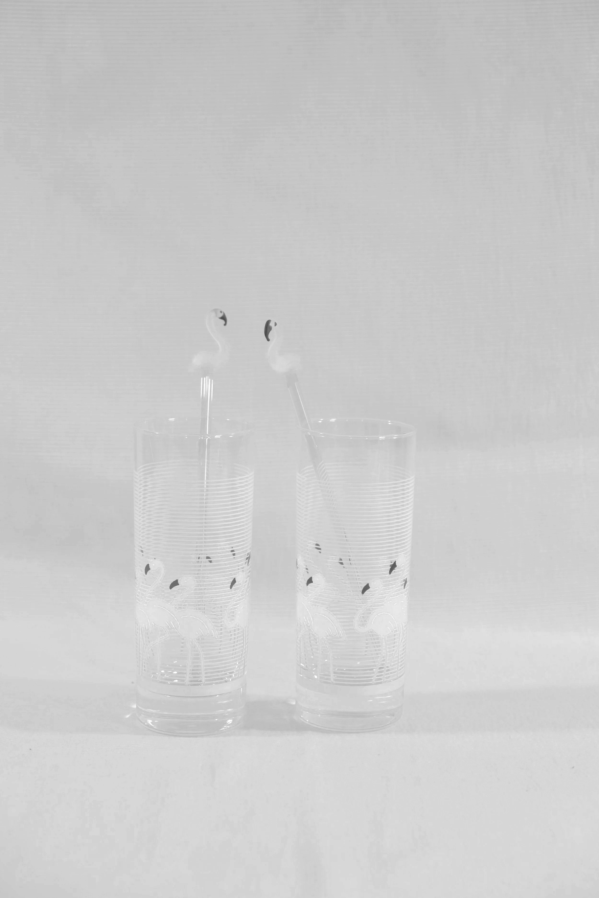 1980's Flamingo Collins Glass Set & Stir Sticks