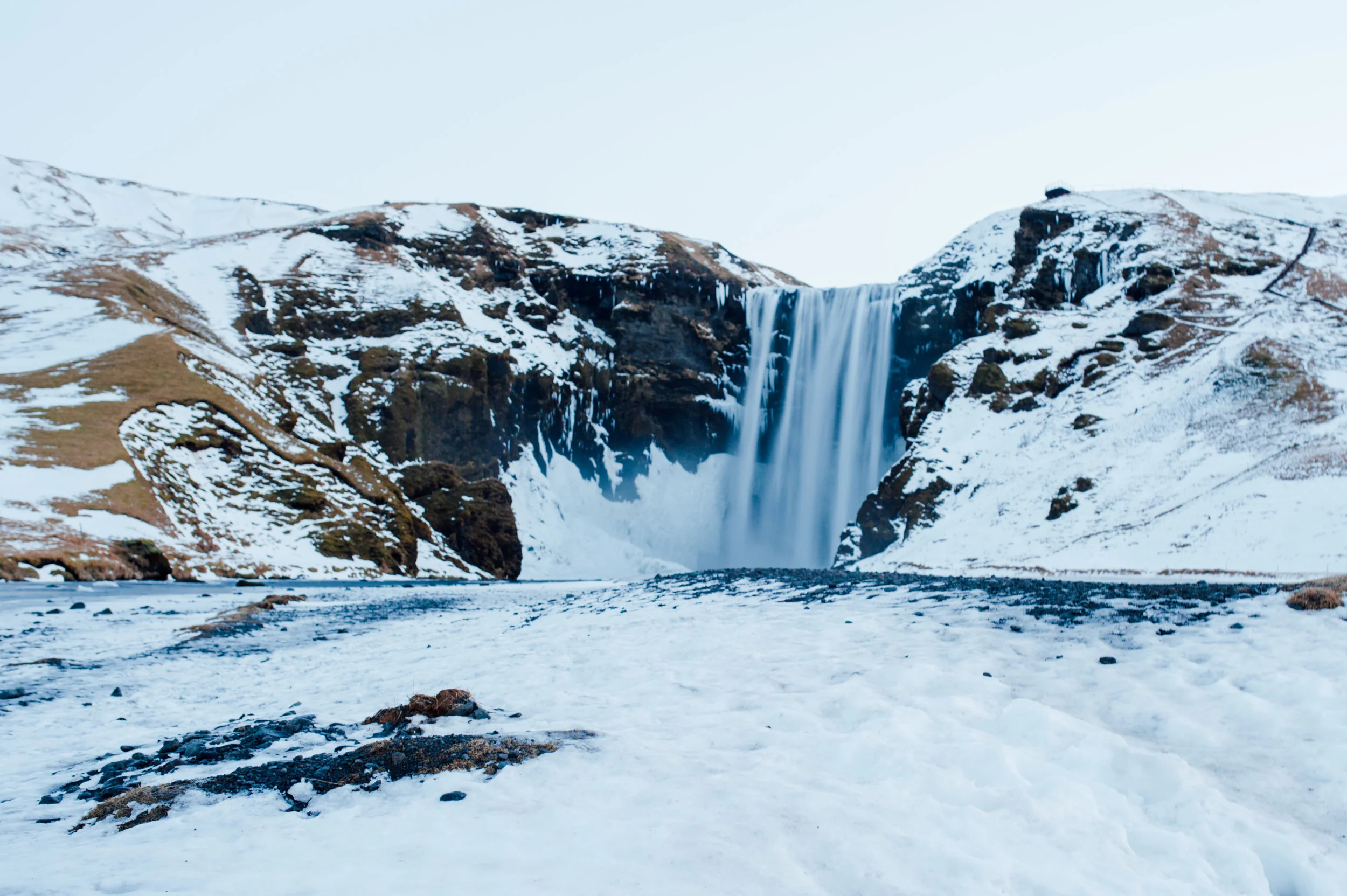 DSC_4466.jpg