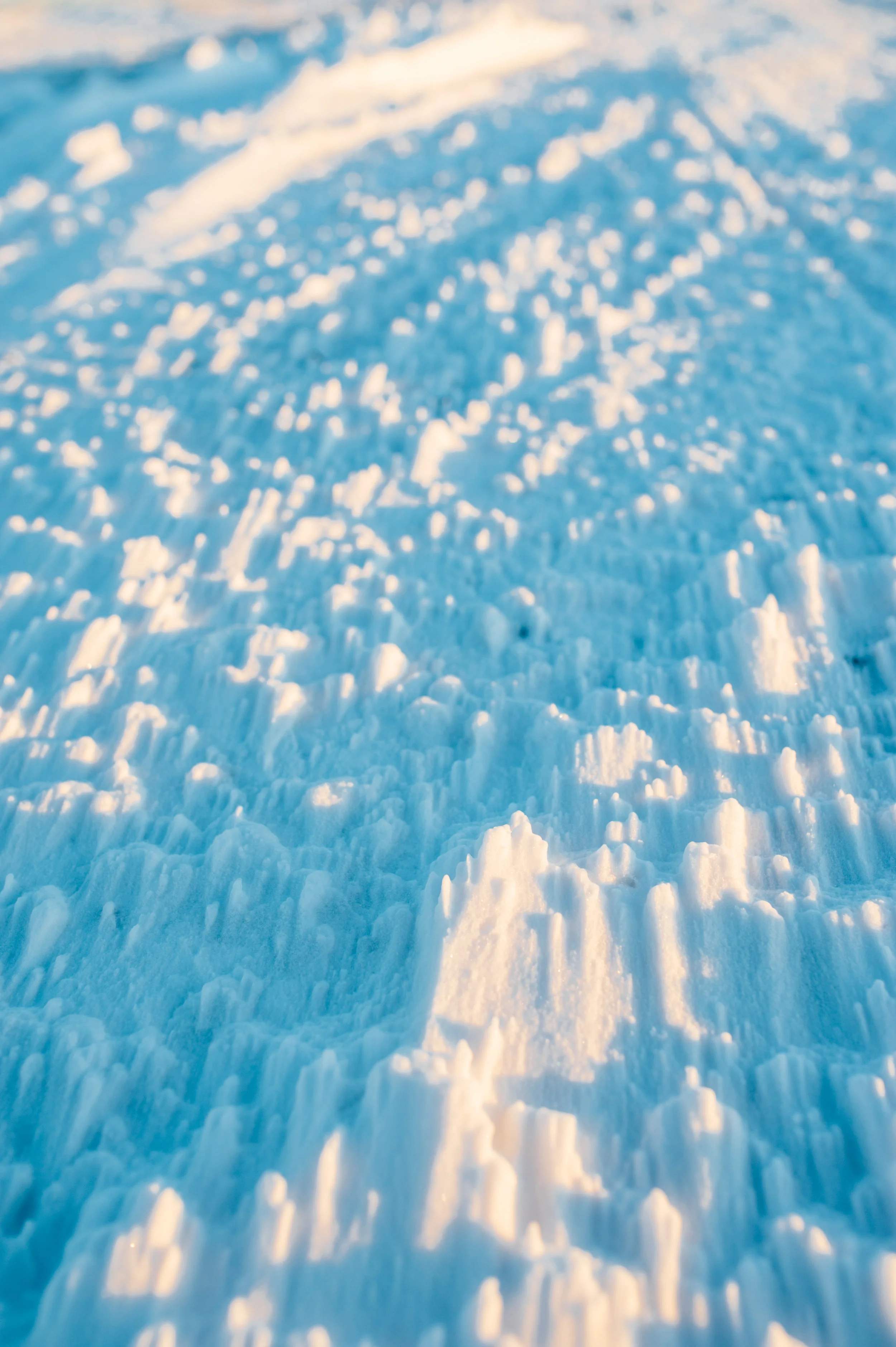 DSC_5438.jpg
