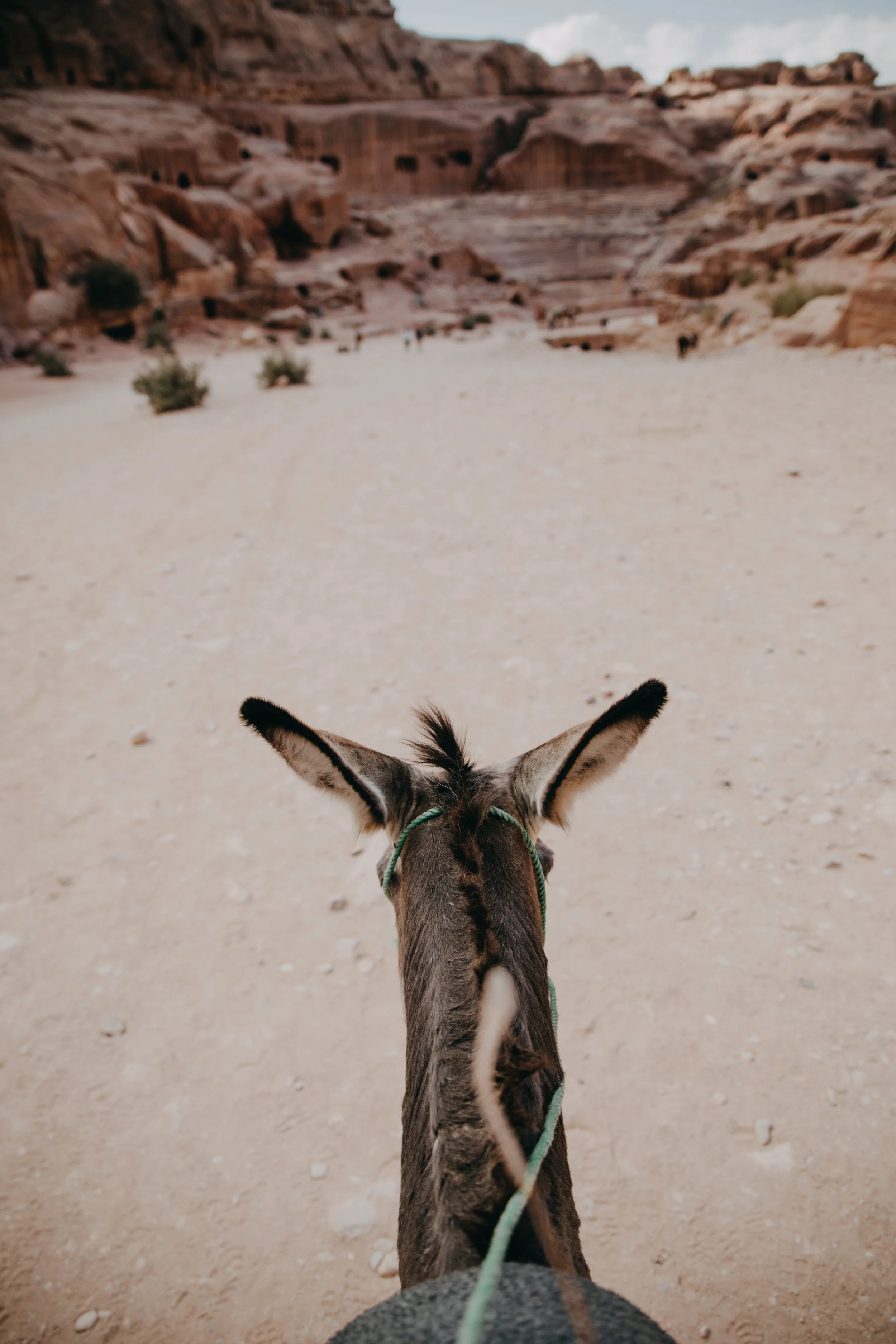 jordan-127.jpg