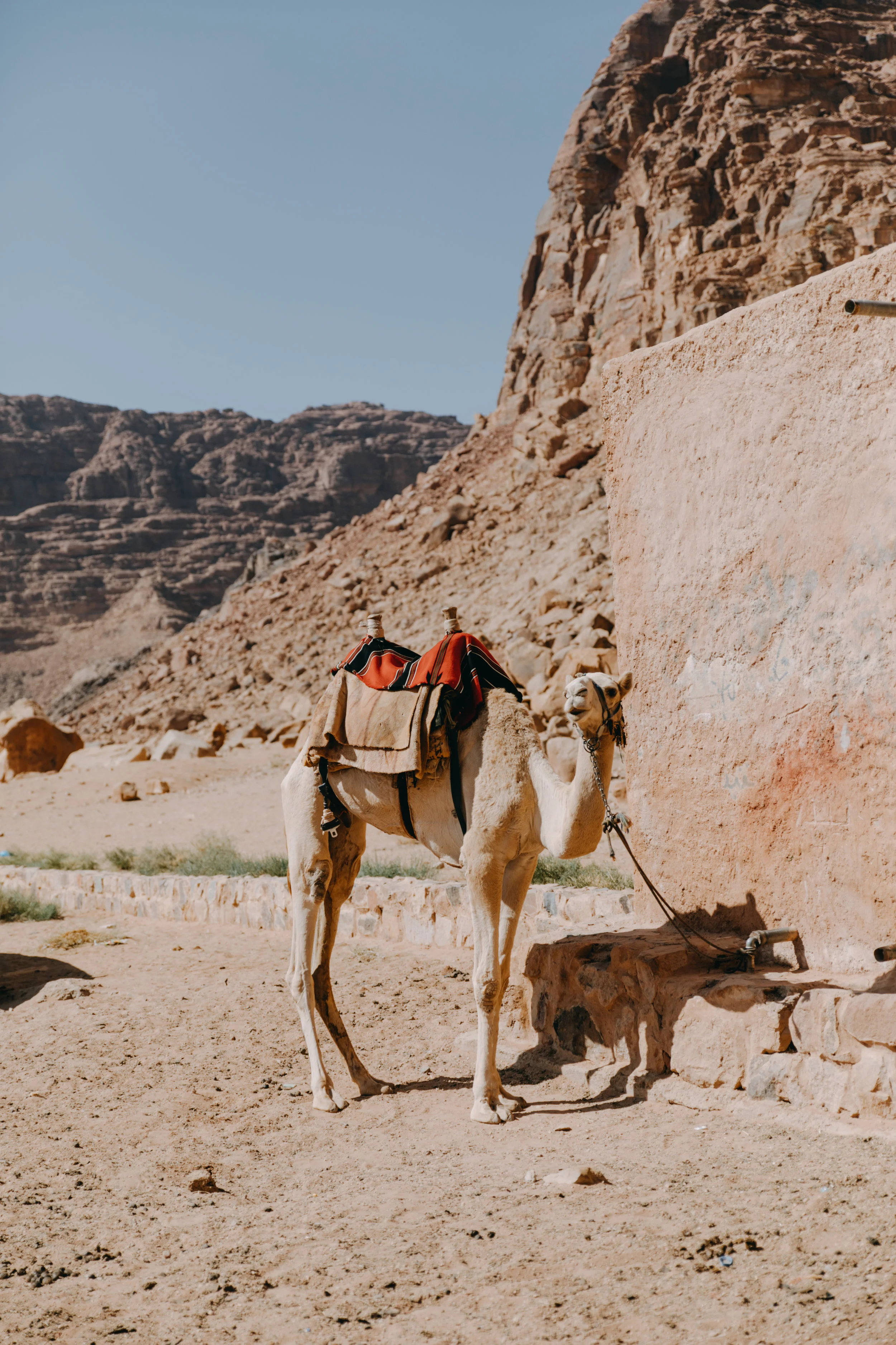 jordan-147.jpg