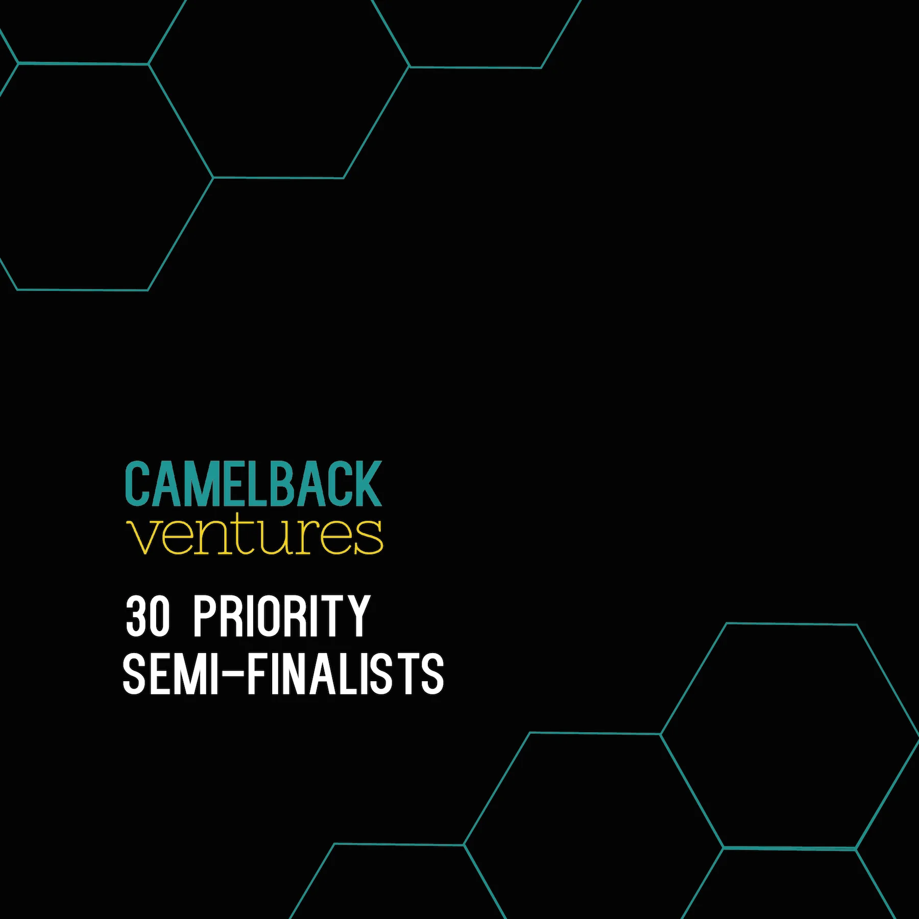 Announcing Priority Acceptances: 2019 Camelback Semi-Finalists