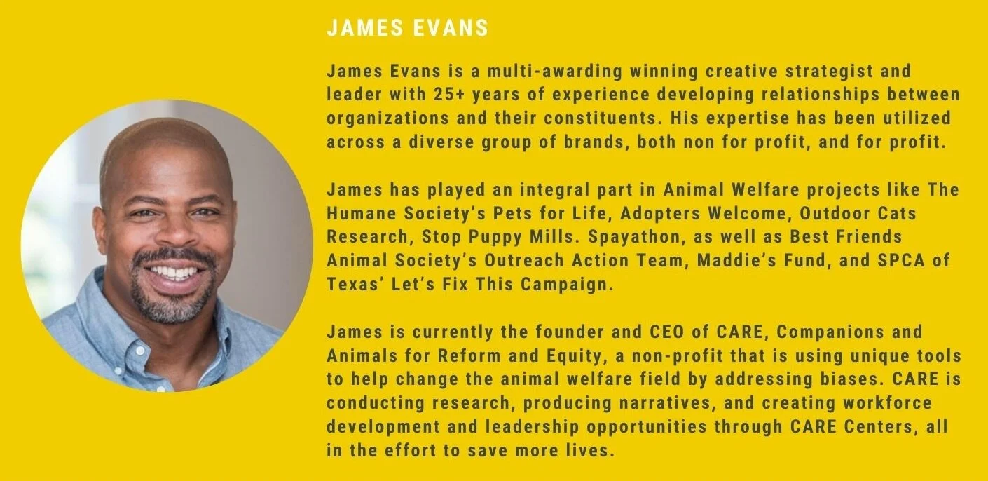James Evans- Blog bio.jpg