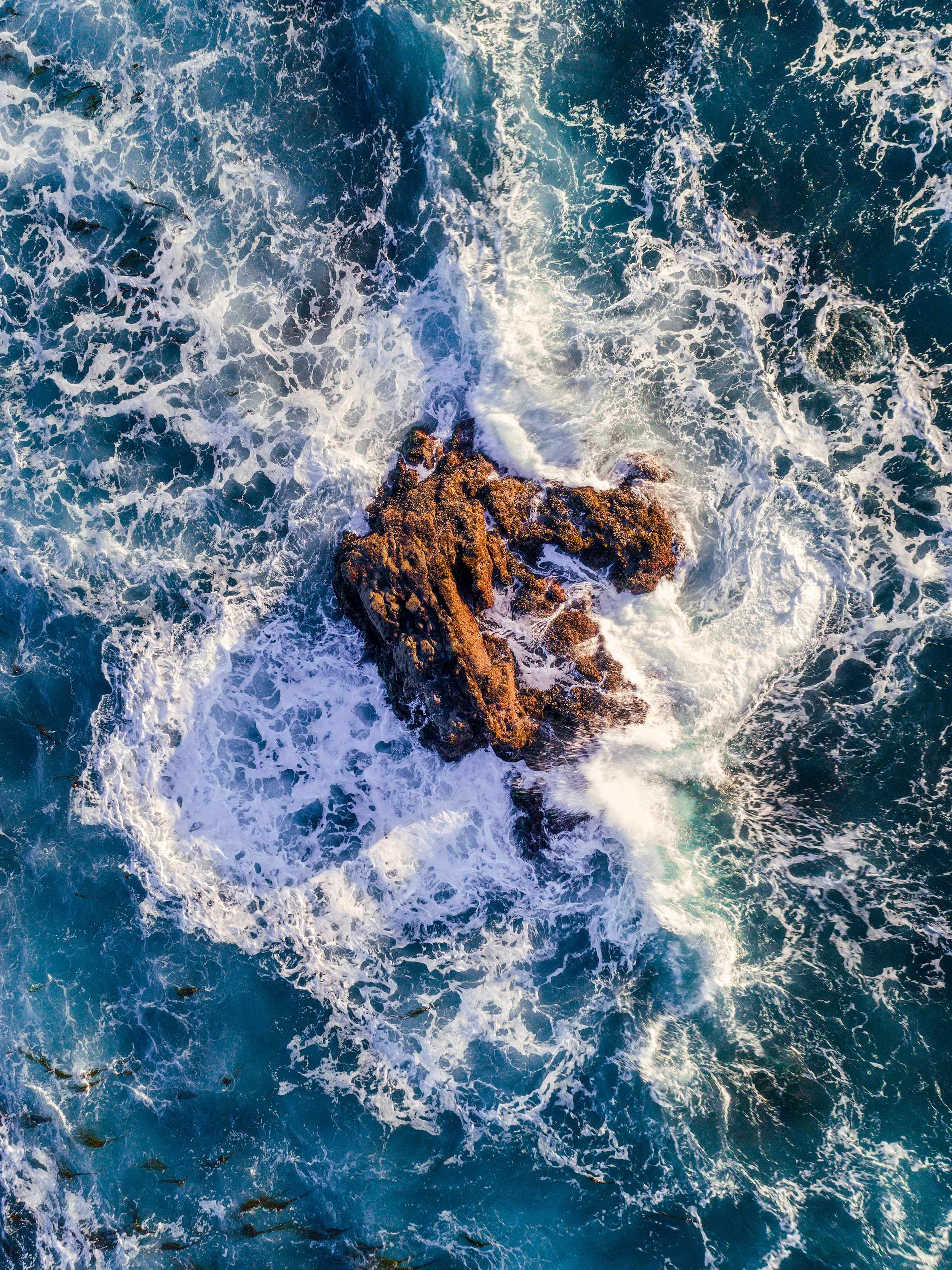 fort bragg coast 1.jpg