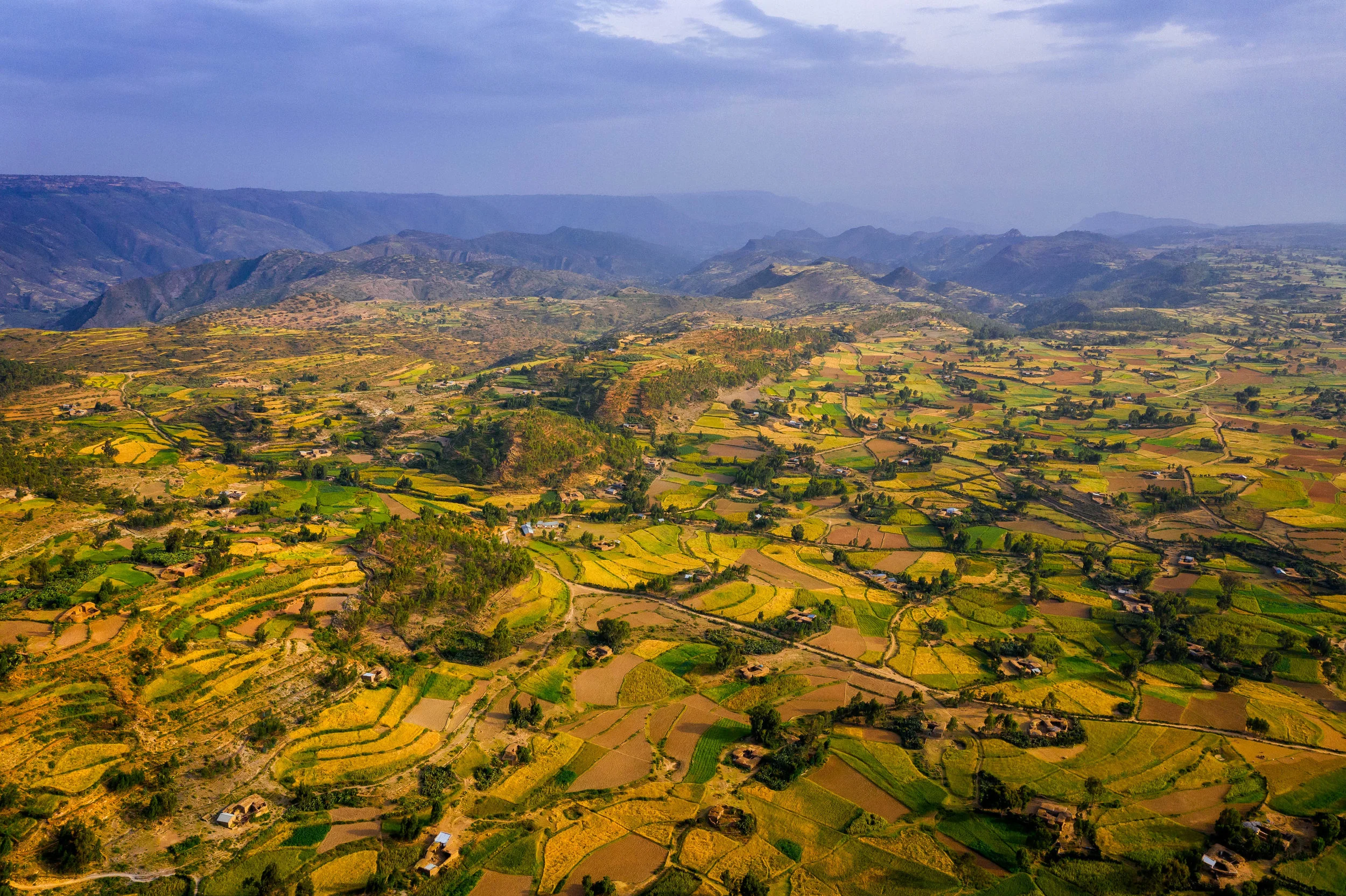 DJI_0317-HDR.jpg