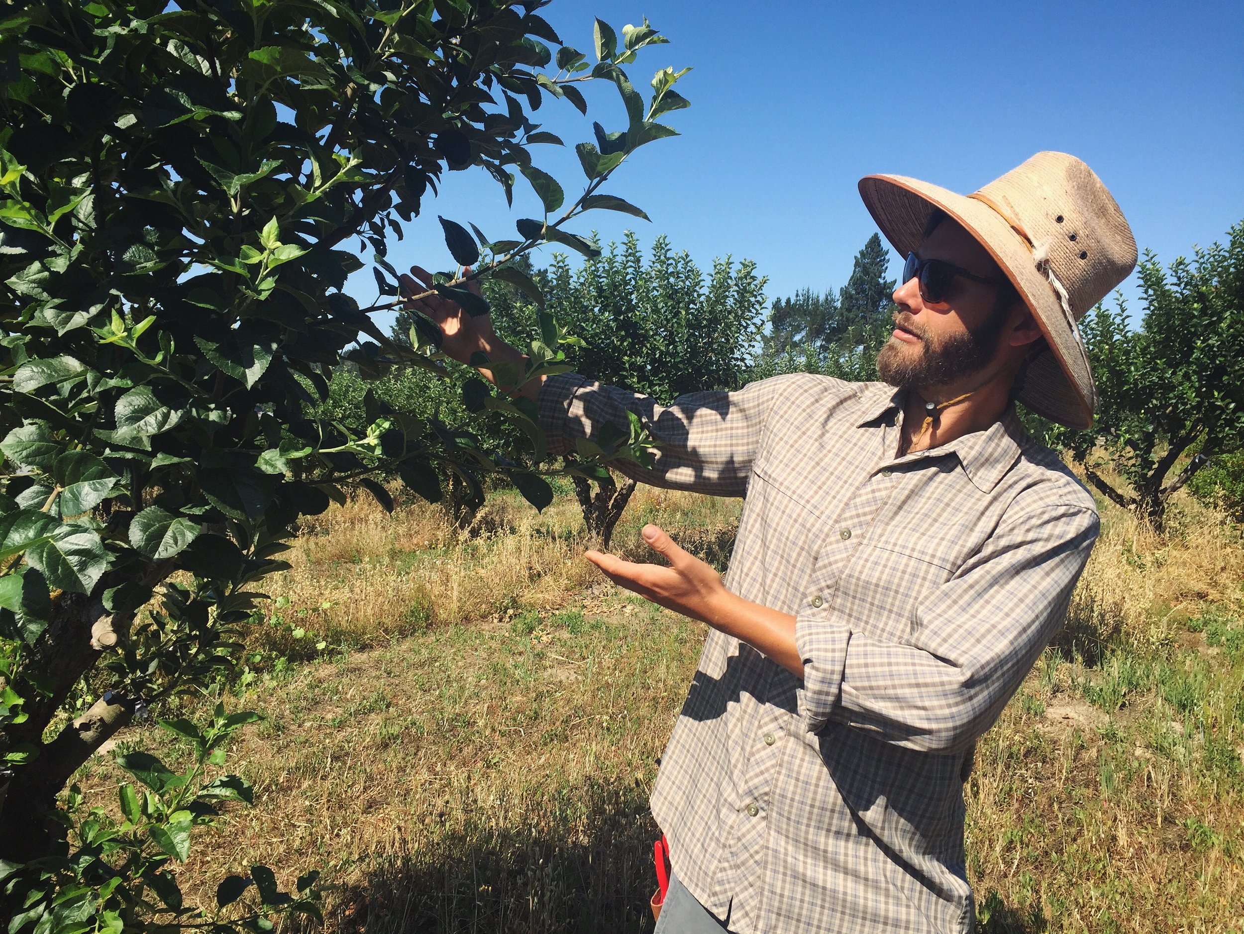 Retail Outlets For Ethic Ciders — Ethic Cider