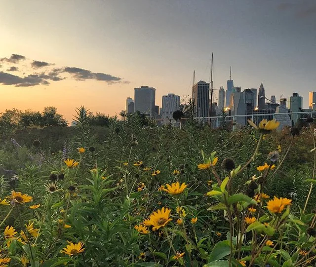 I love New York #nyc