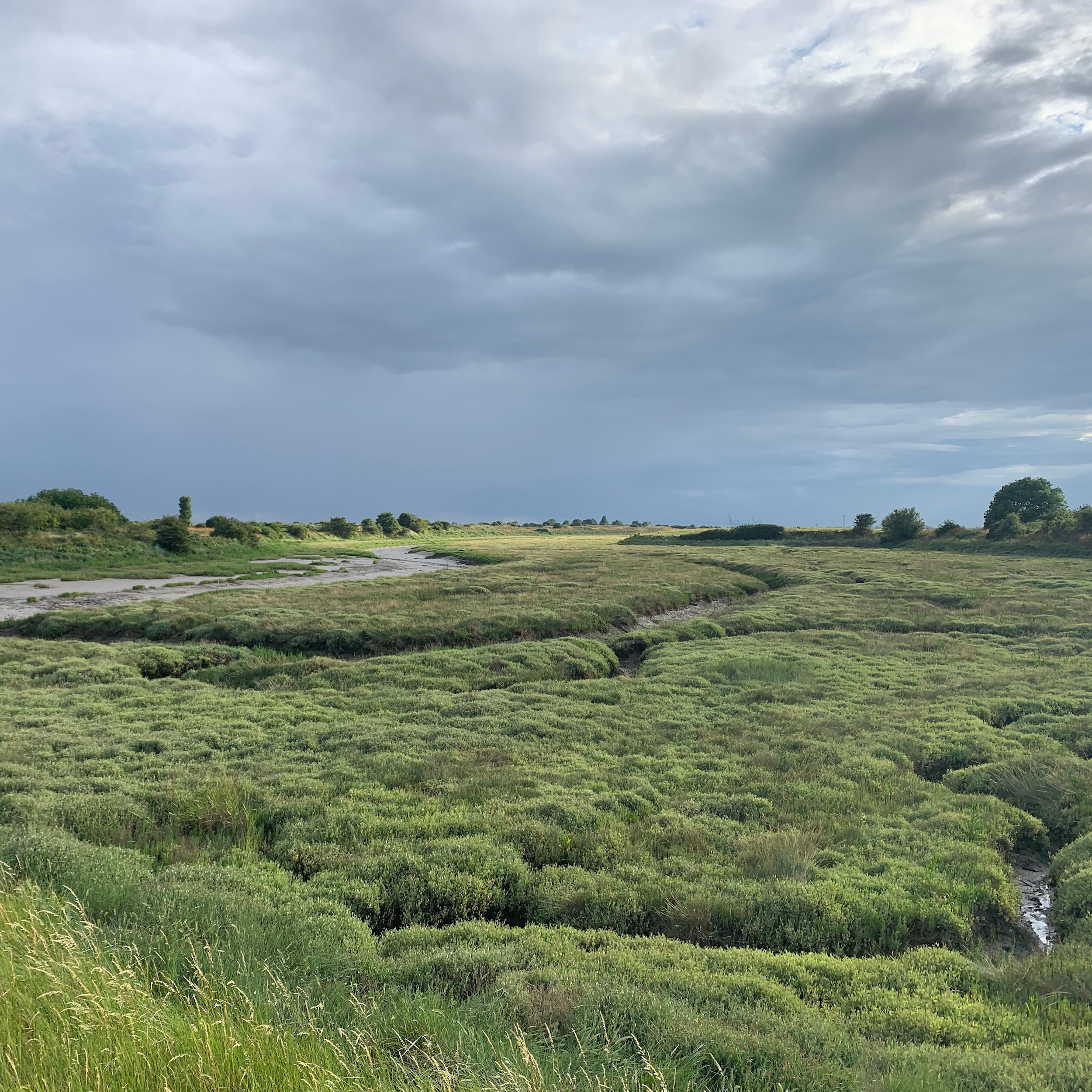 The Marsh, 4 Improvisations