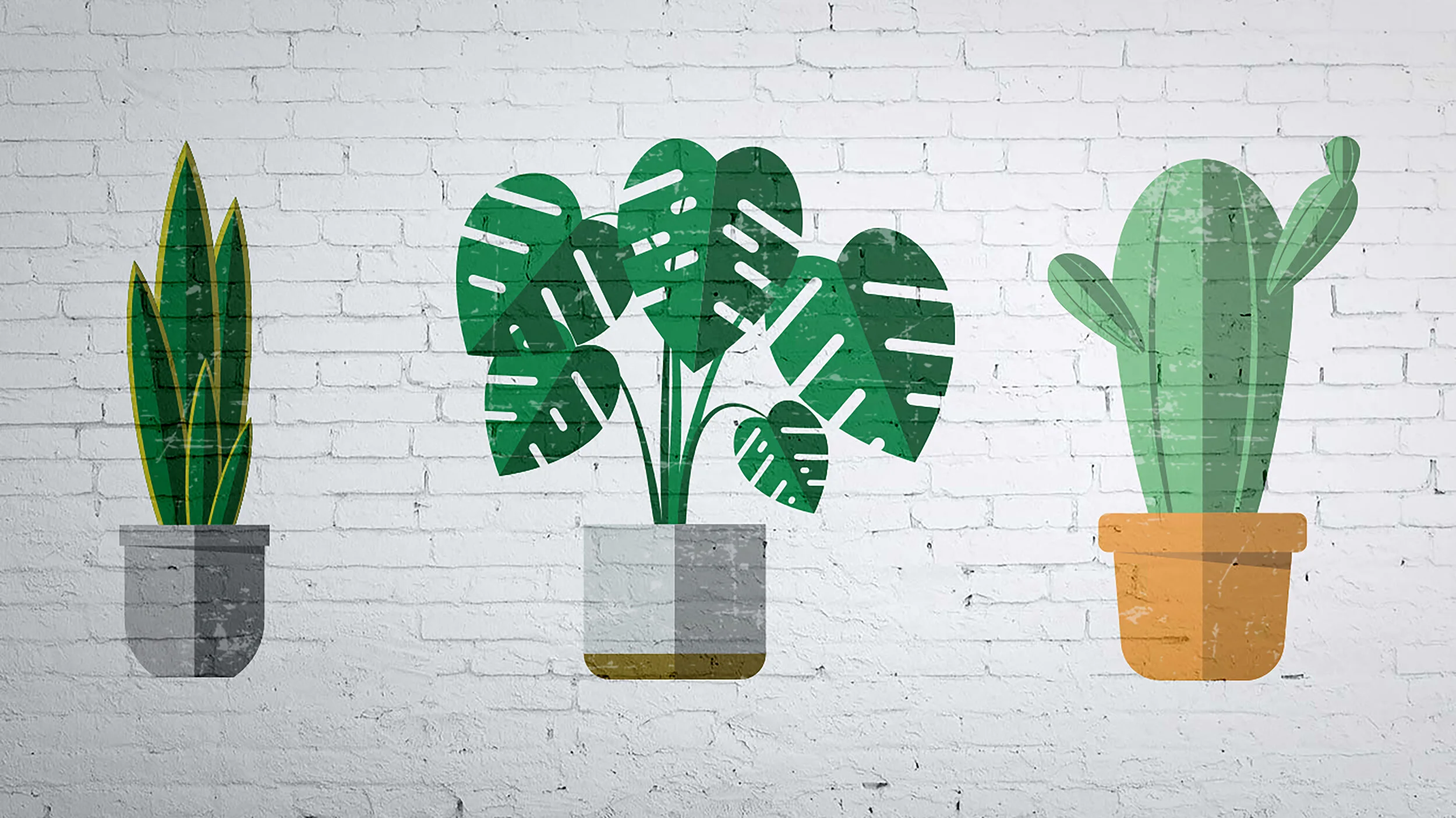 Snake, Monstera, and Tall Cactus wall-mockup.jpg