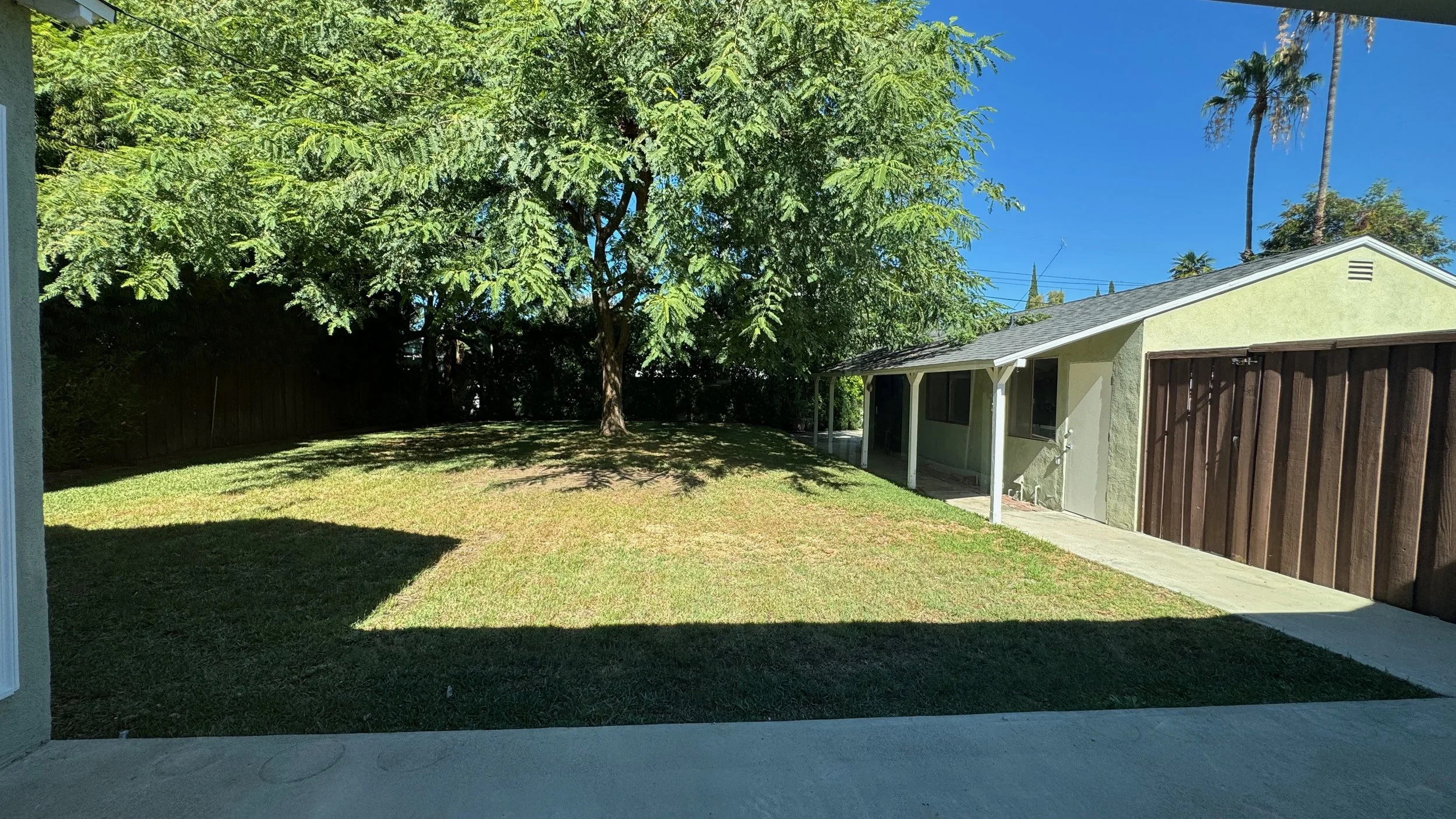 backyardfromslidingglass.jpeg