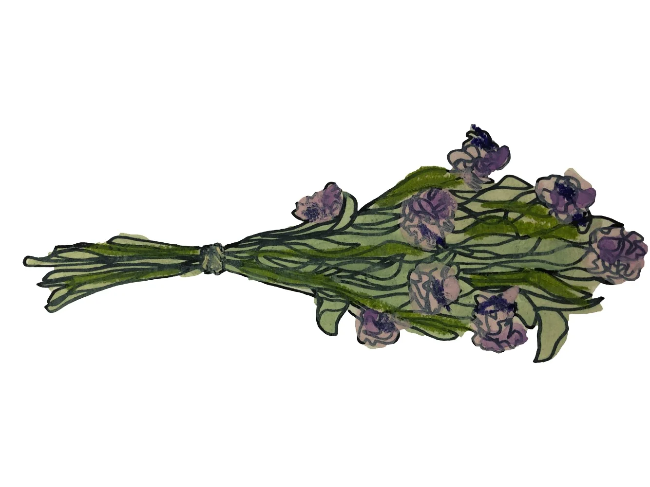 Illustration by Cailin Hall