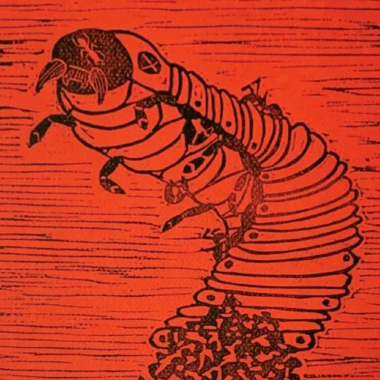 Lord of the Flies &amp; Revolution