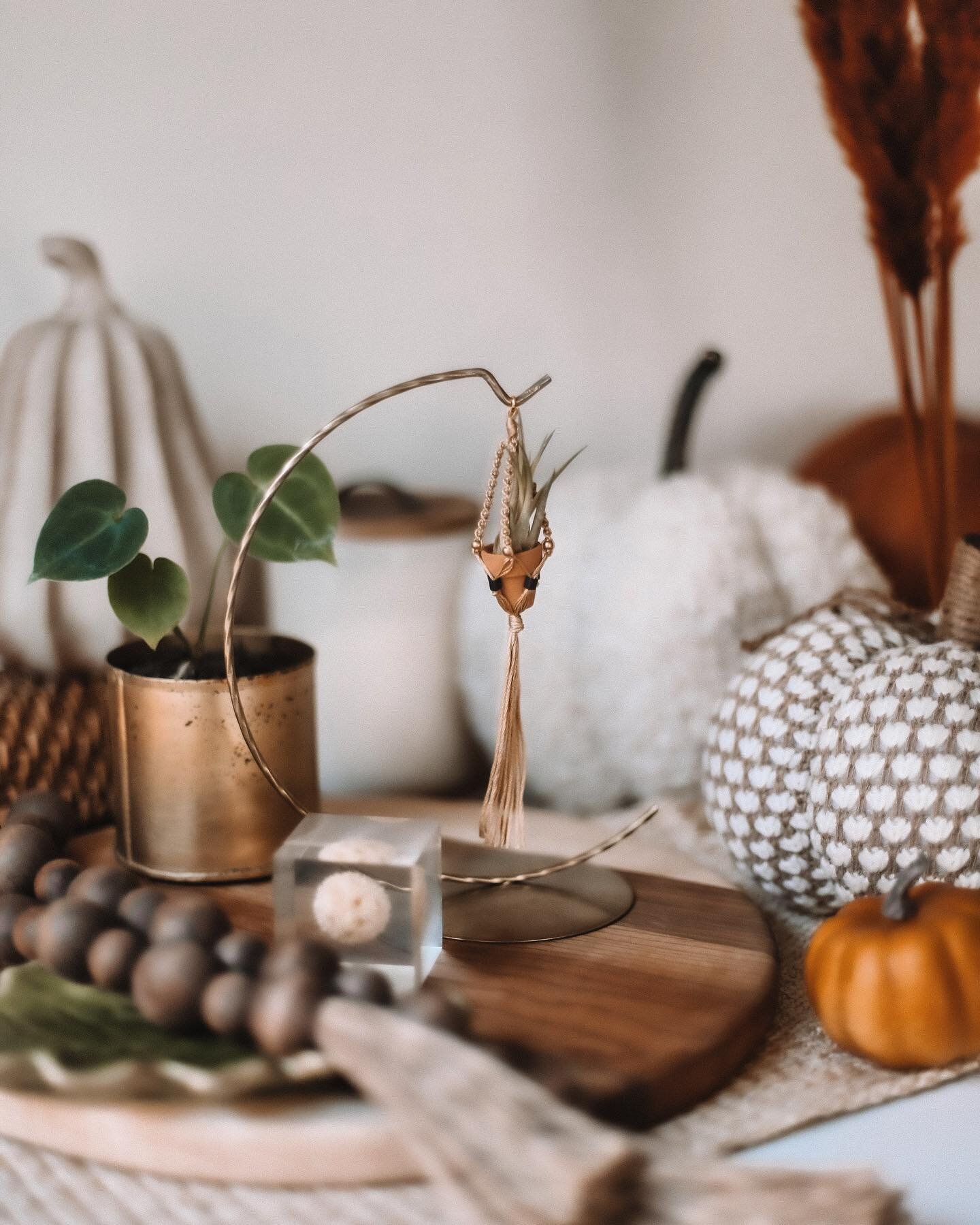 🍂Fall mini hanging pots are here!🍂 Just stocked up the shop with some fall colors  and this toasted wheat macrame might be my new favorite🌾